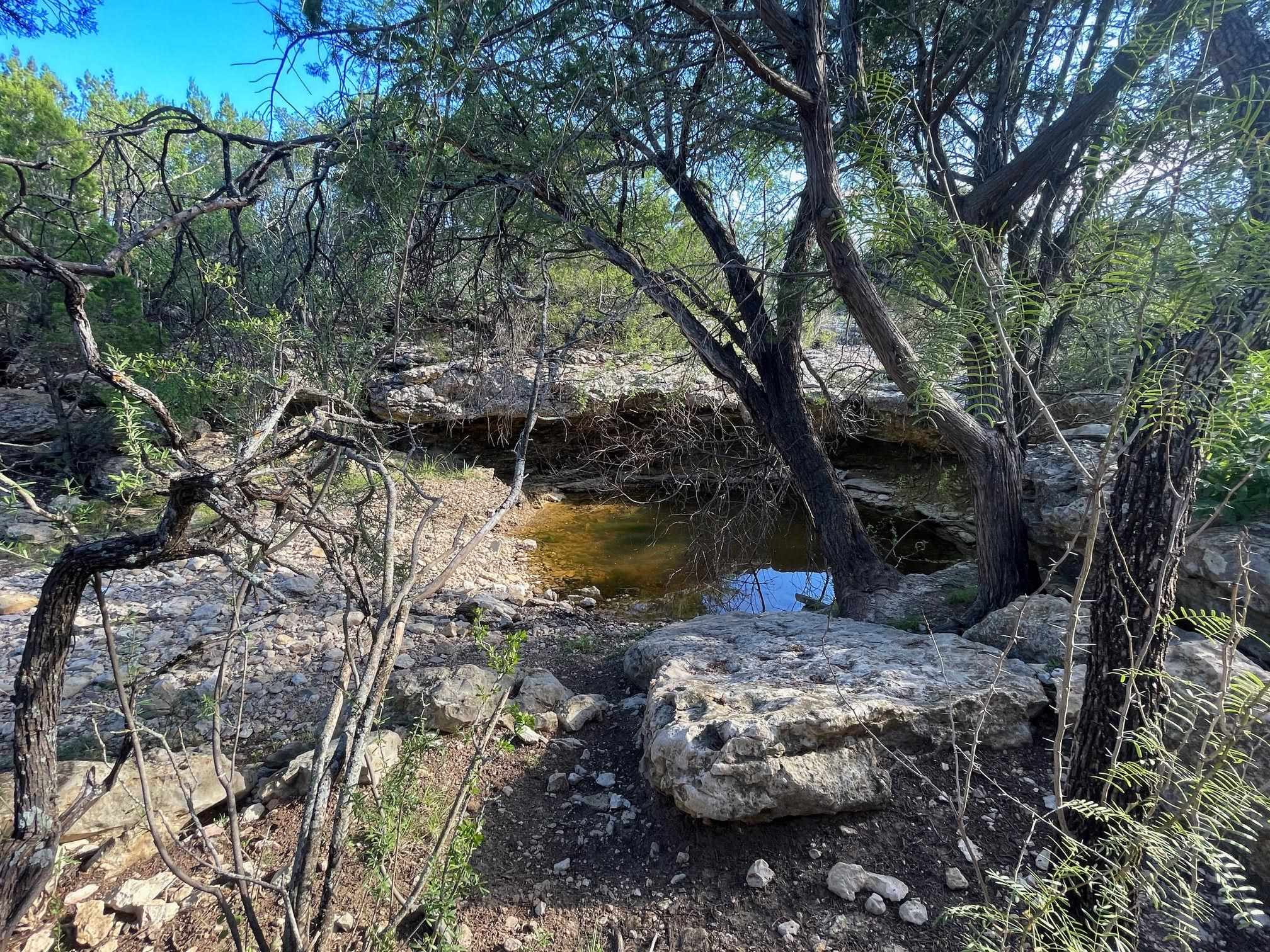 Image 38 of 49 For 1429 Wagon Track