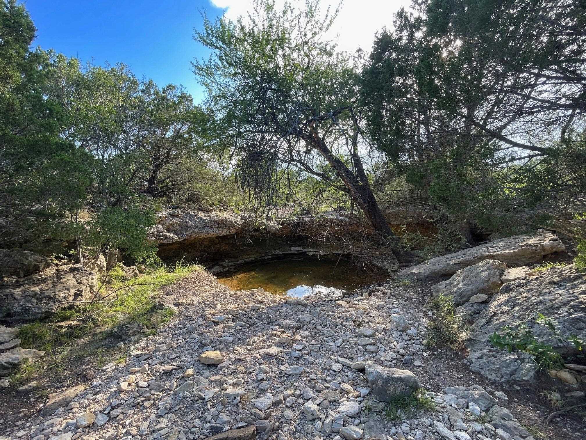 Image 39 of 49 For 1429 Wagon Track