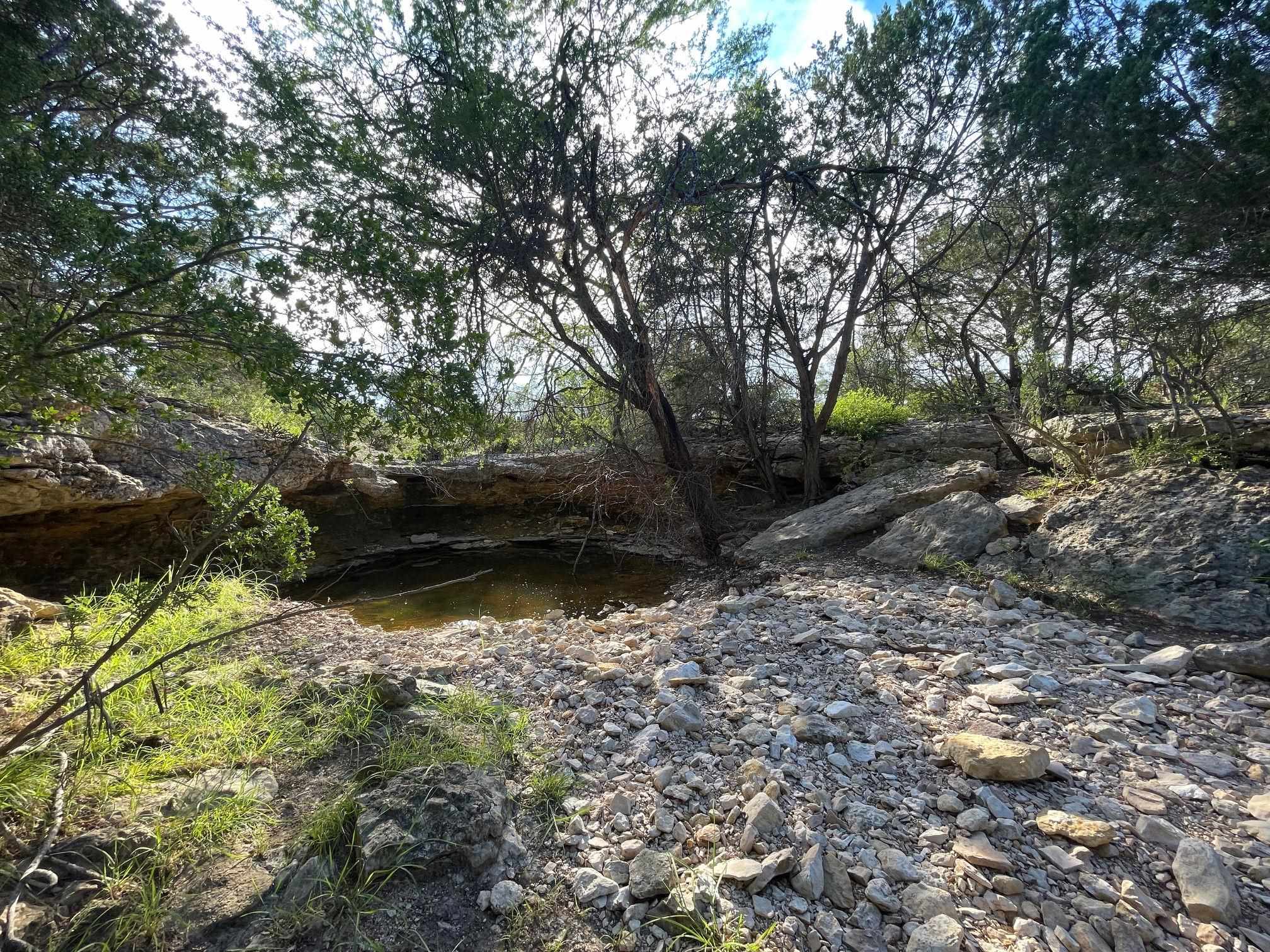 Image 41 of 49 For 1429 Wagon Track