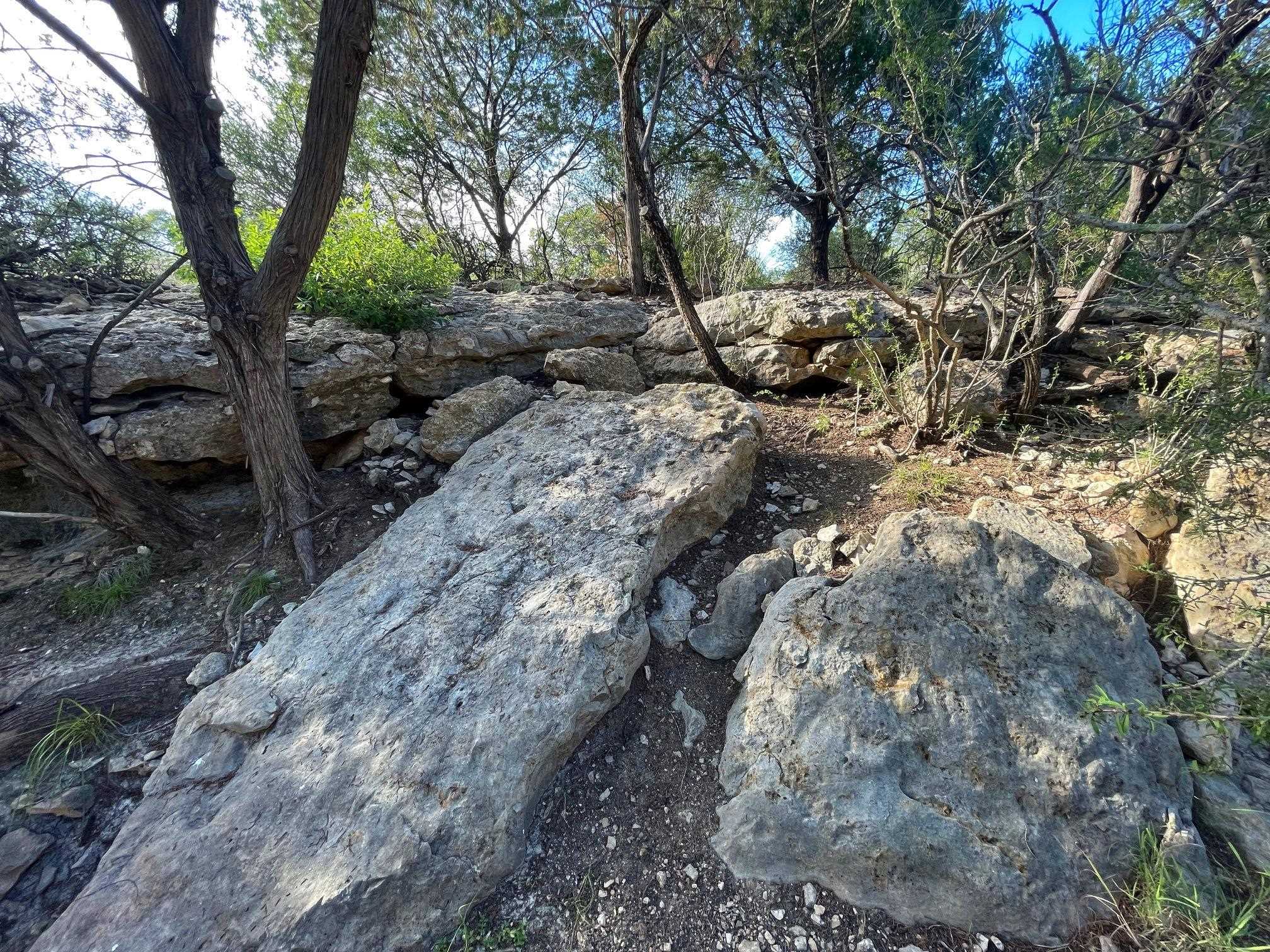 Image 42 of 49 For 1429 Wagon Track