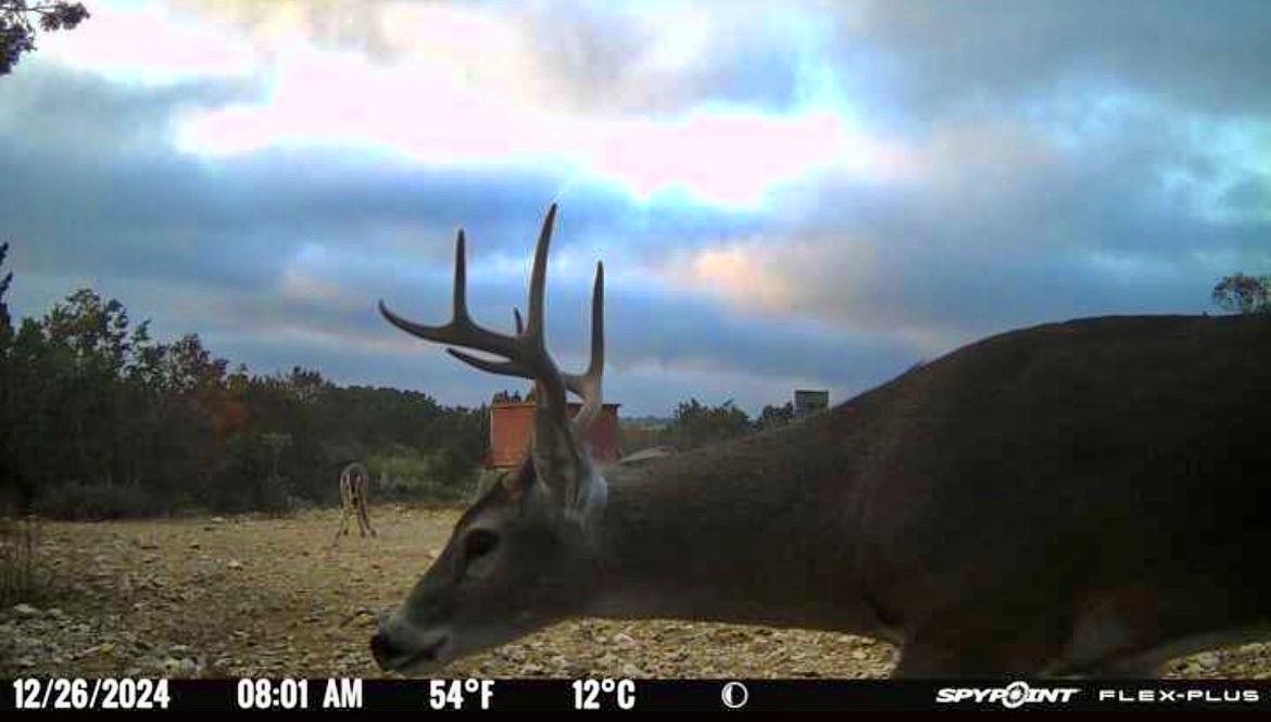 Image 45 of 49 For 1429 Wagon Track