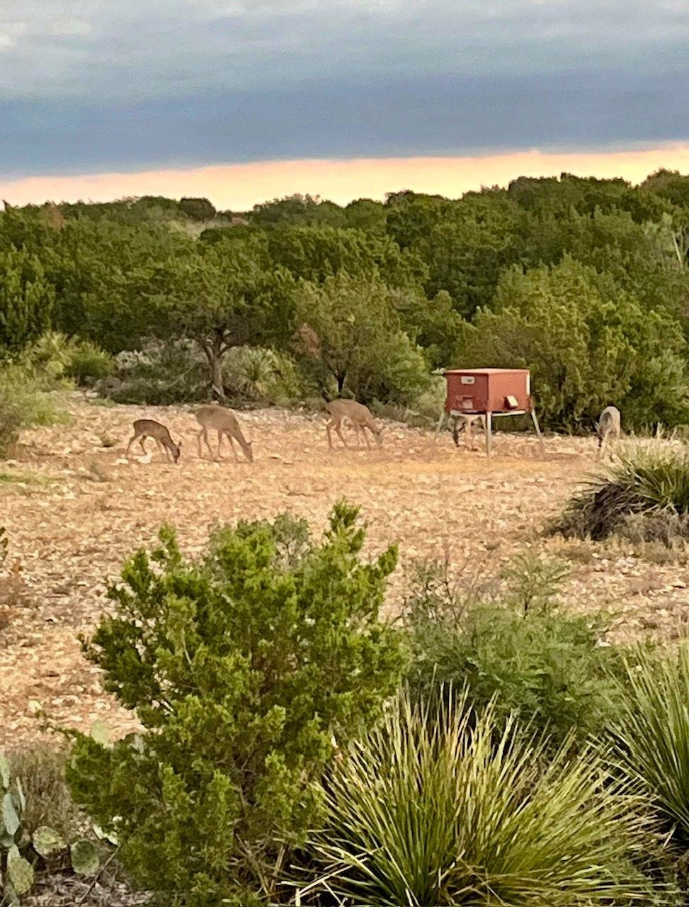 Image 46 of 49 For 1429 Wagon Track