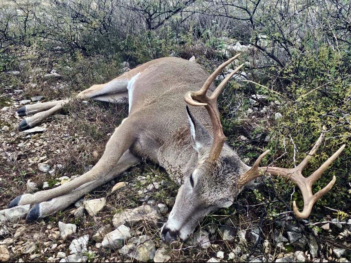 Image 48 of 49 For 1429 Wagon Track