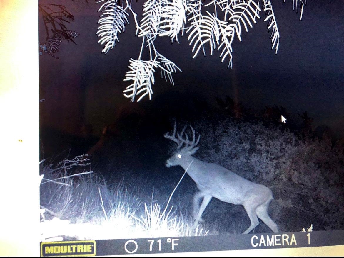 Image 49 of 49 For 1429 Wagon Track