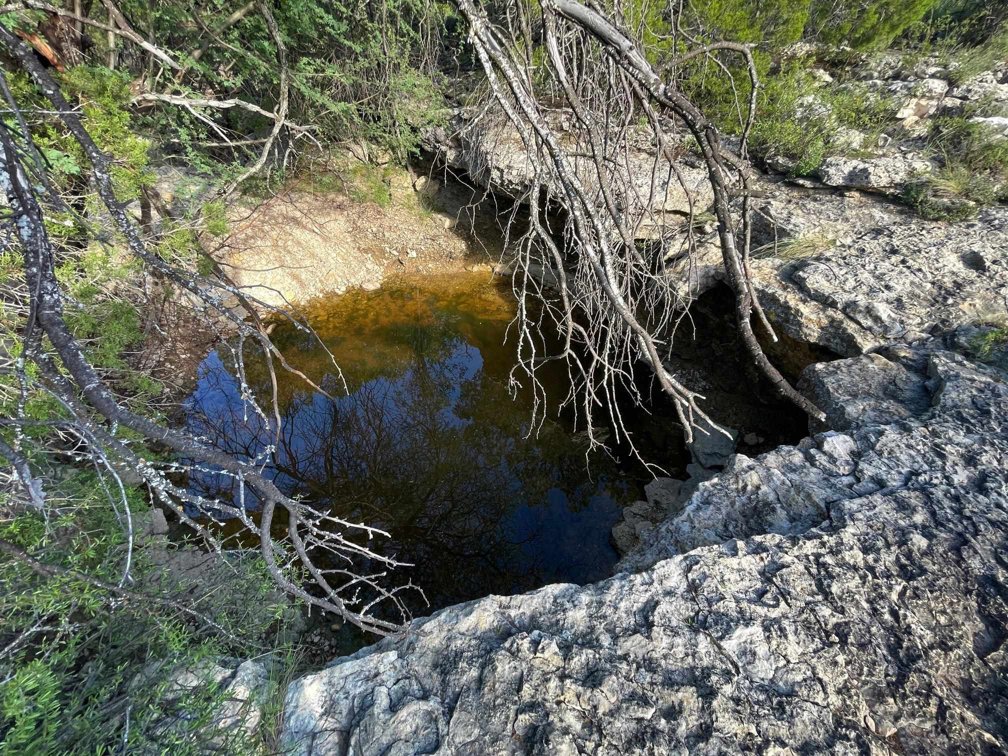 Image 8 of 49 For 1429 Wagon Track