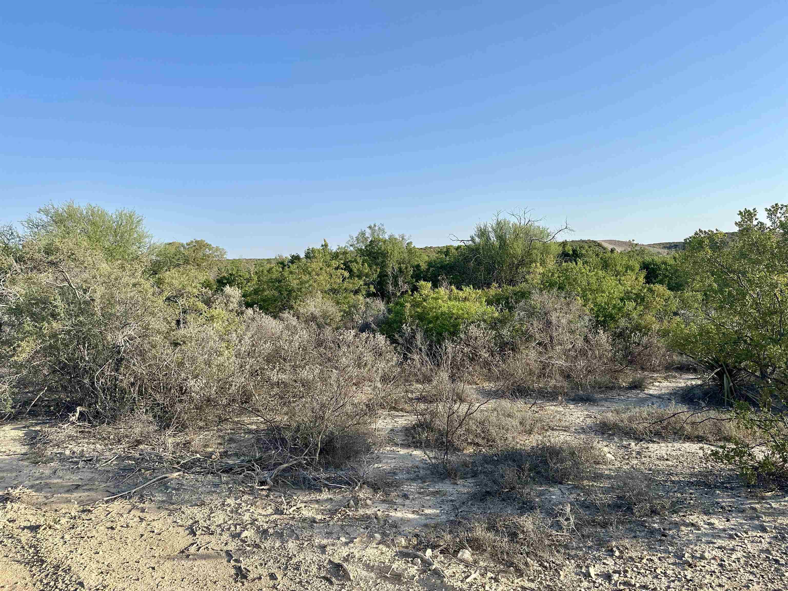 Image 19 of 50 For 1290 Acres Hwy 90 W