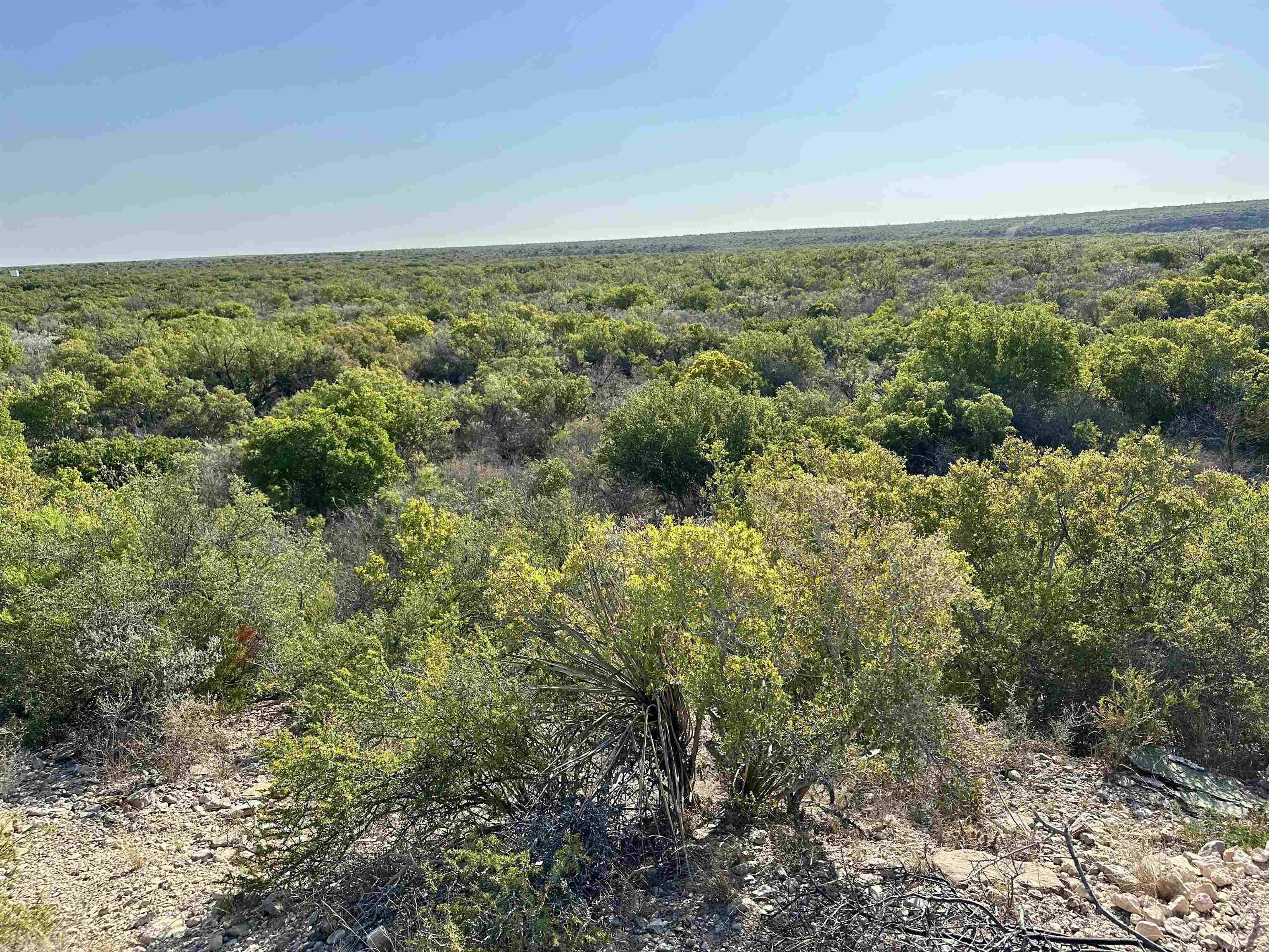 Image 20 of 50 For 1290 Acres Hwy 90 W