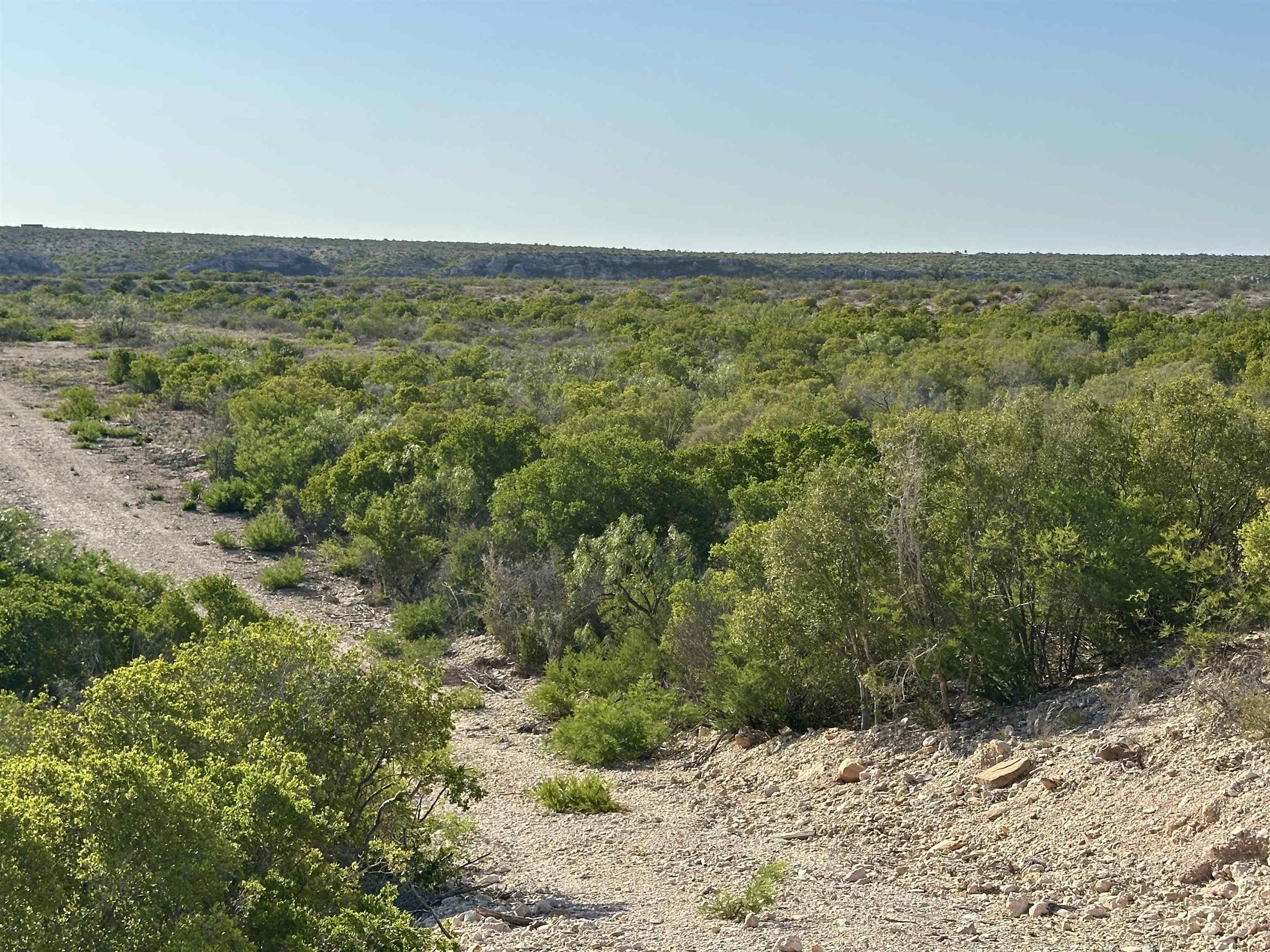 Image 21 of 50 For 1290 Acres Hwy 90 W