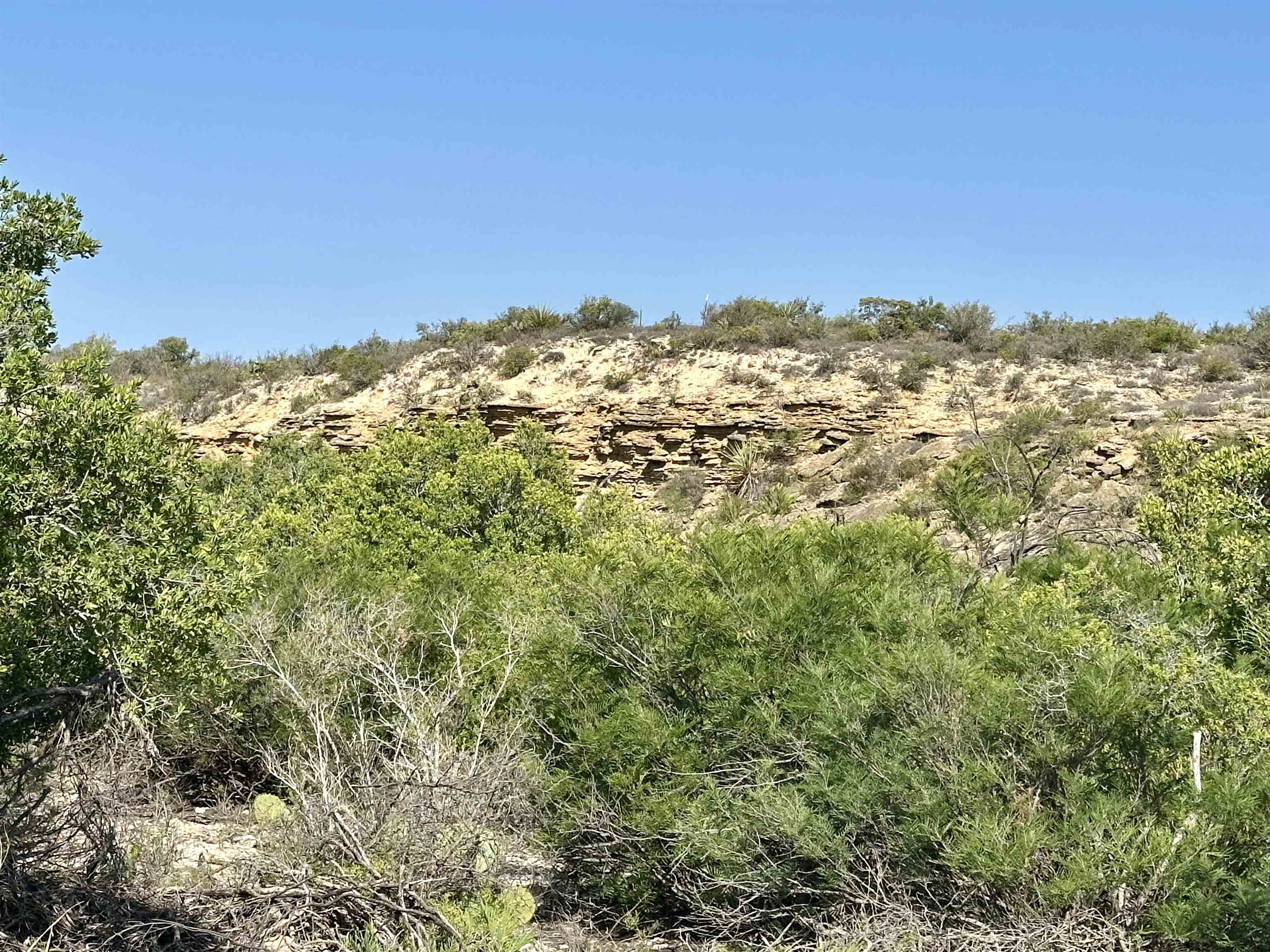 Image 22 of 50 For 1290 Acres Hwy 90 W