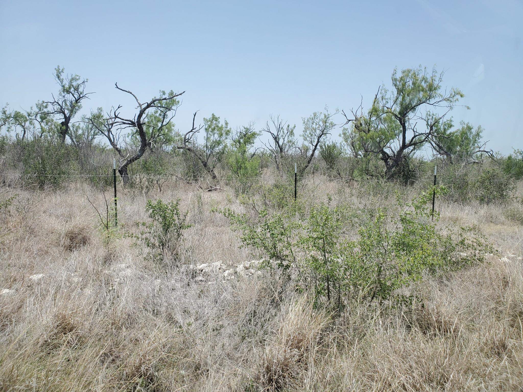 Image 3 of 8 For 17231 Ranch Rd 693 Lot 13 & 19