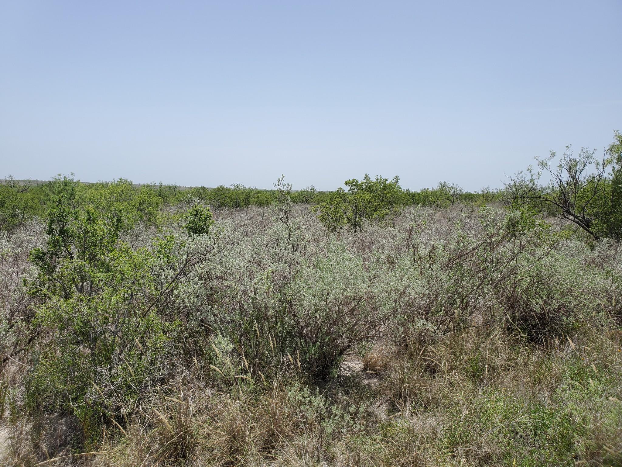 Image 4 of 8 For 17231 Ranch Rd 693 Lot 13 & 19