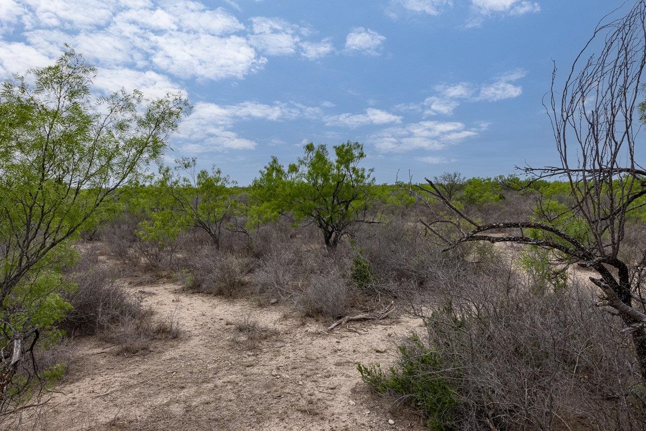 Image 2 of 10 For 14 Ginger Lee Loop