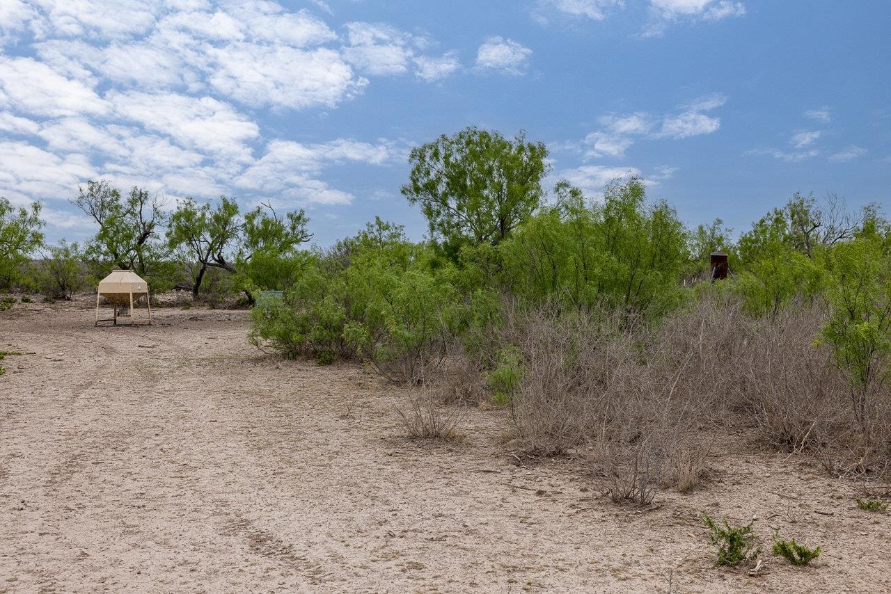 Image 3 of 10 For 14 Ginger Lee Loop