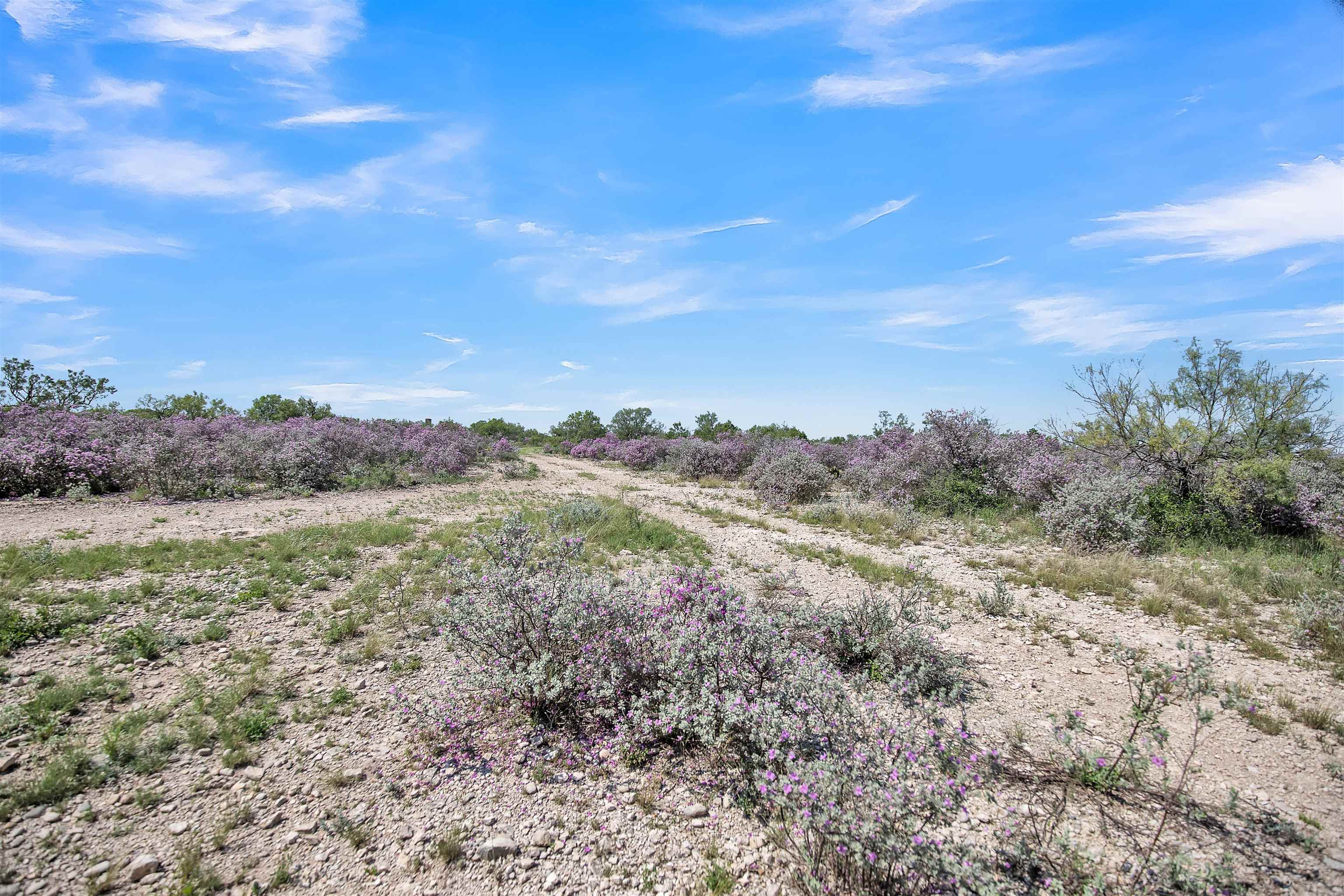 Image 4 of 10 For 14 Ginger Lee Loop