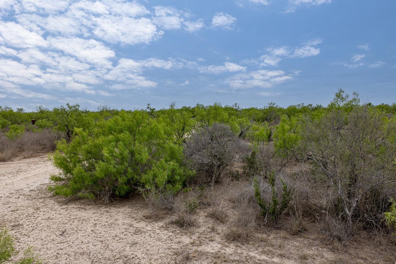 Image 6 of 10 For 14 Ginger Lee Loop