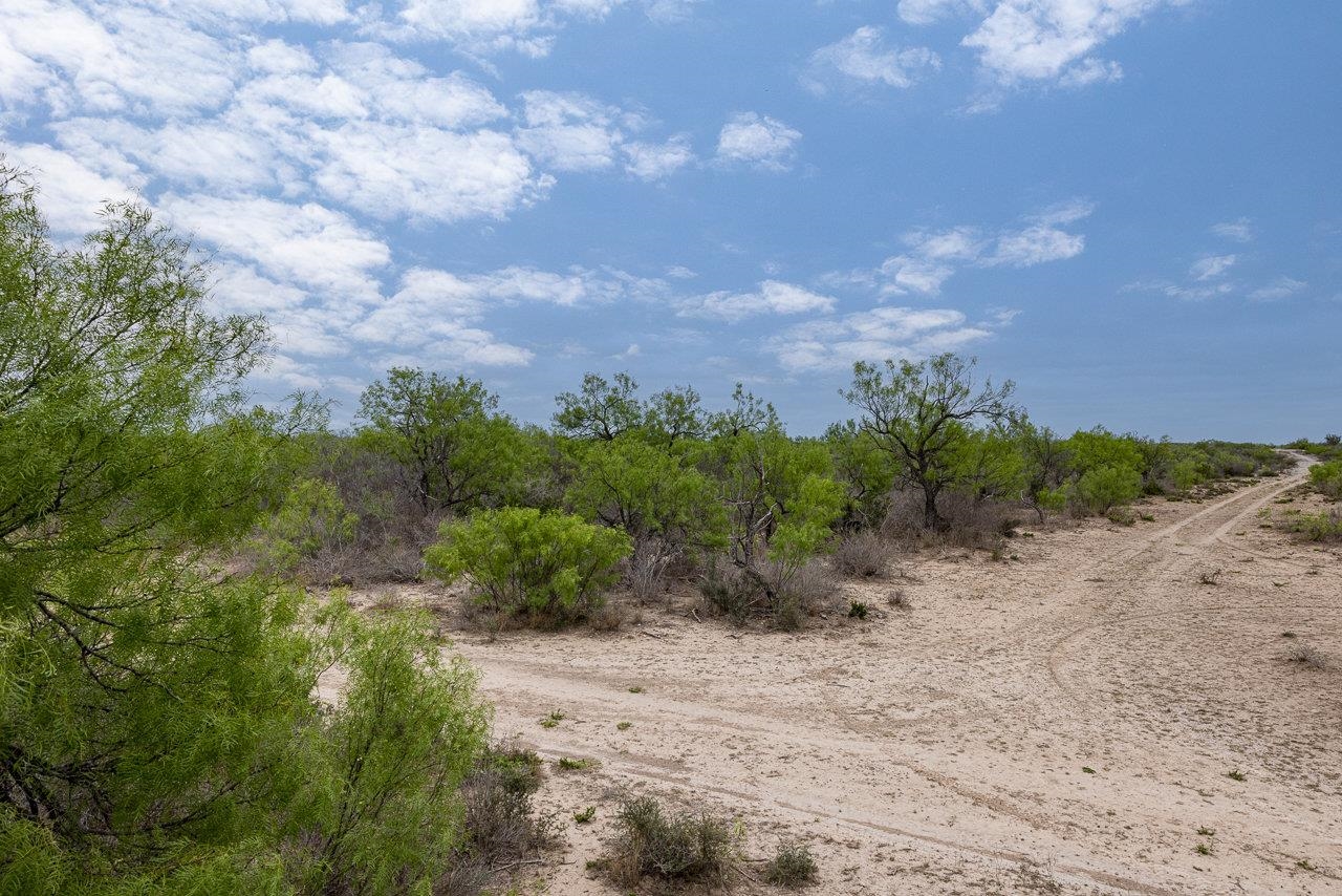 Image 7 of 10 For 14 Ginger Lee Loop