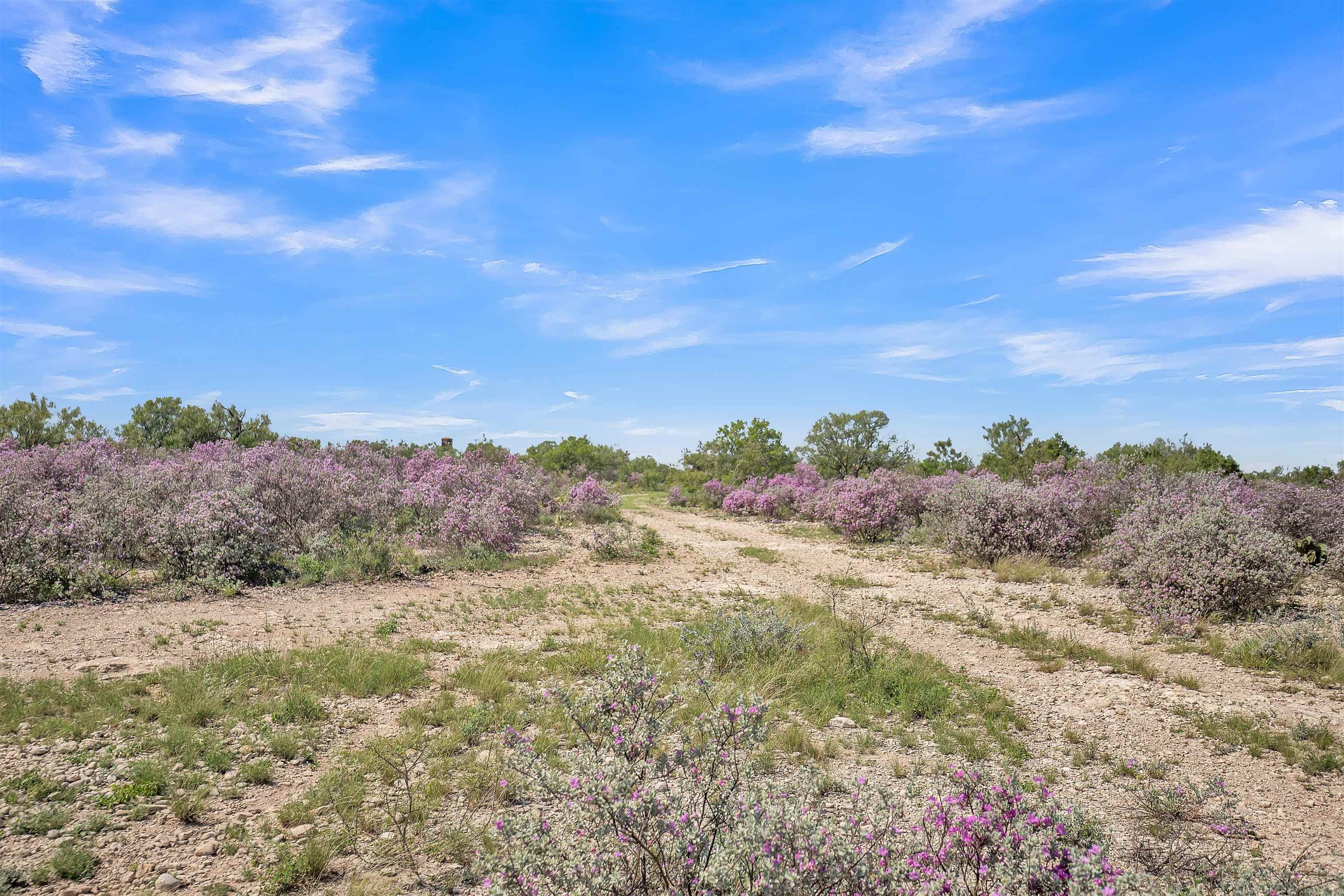 Details for 16 Ginger Lee Loop, Del Rio, TX 78840