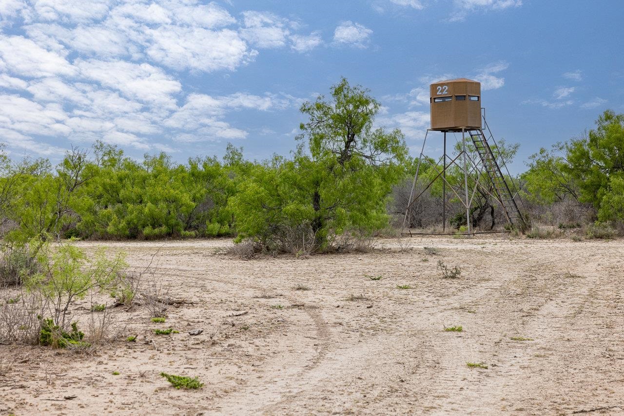 Image 3 of 11 For 16 Ginger Lee Loop