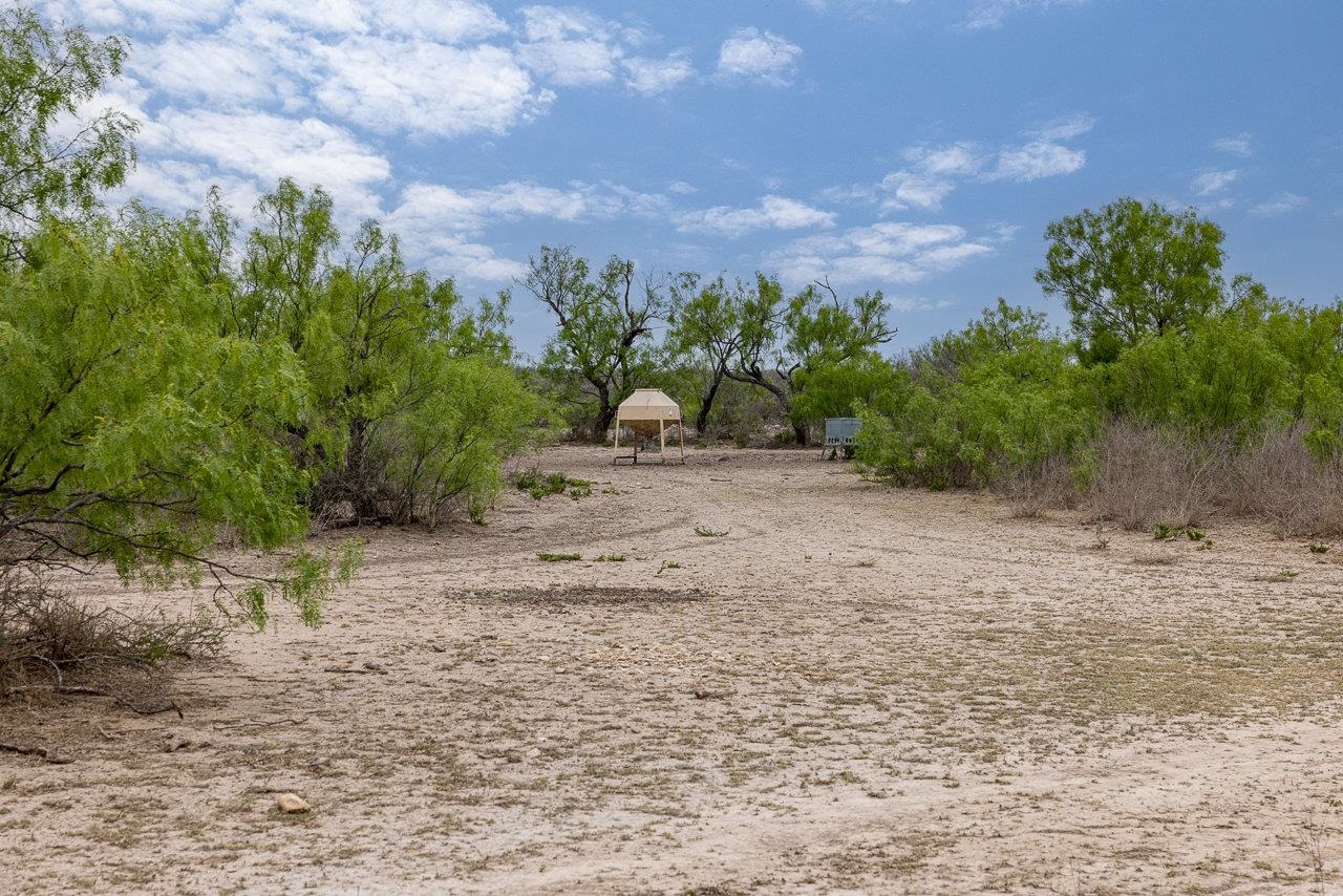 Image 5 of 11 For 16 Ginger Lee Loop