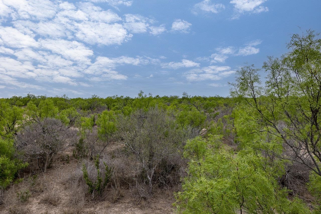 Image 5 of 8 For 17 Ginger Lee Loop