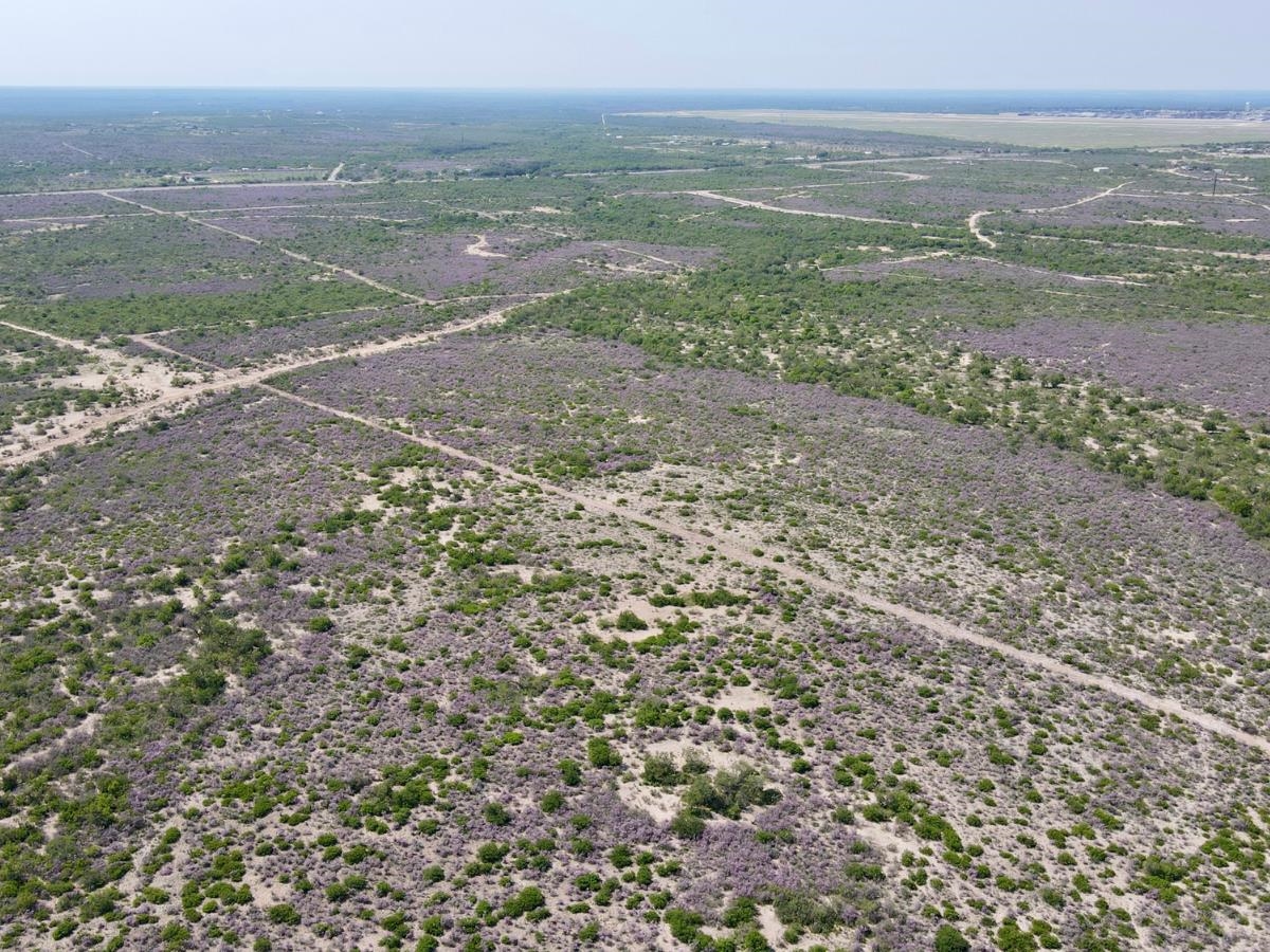 Image 12 of 16 For 31 Ginger Lee Loop