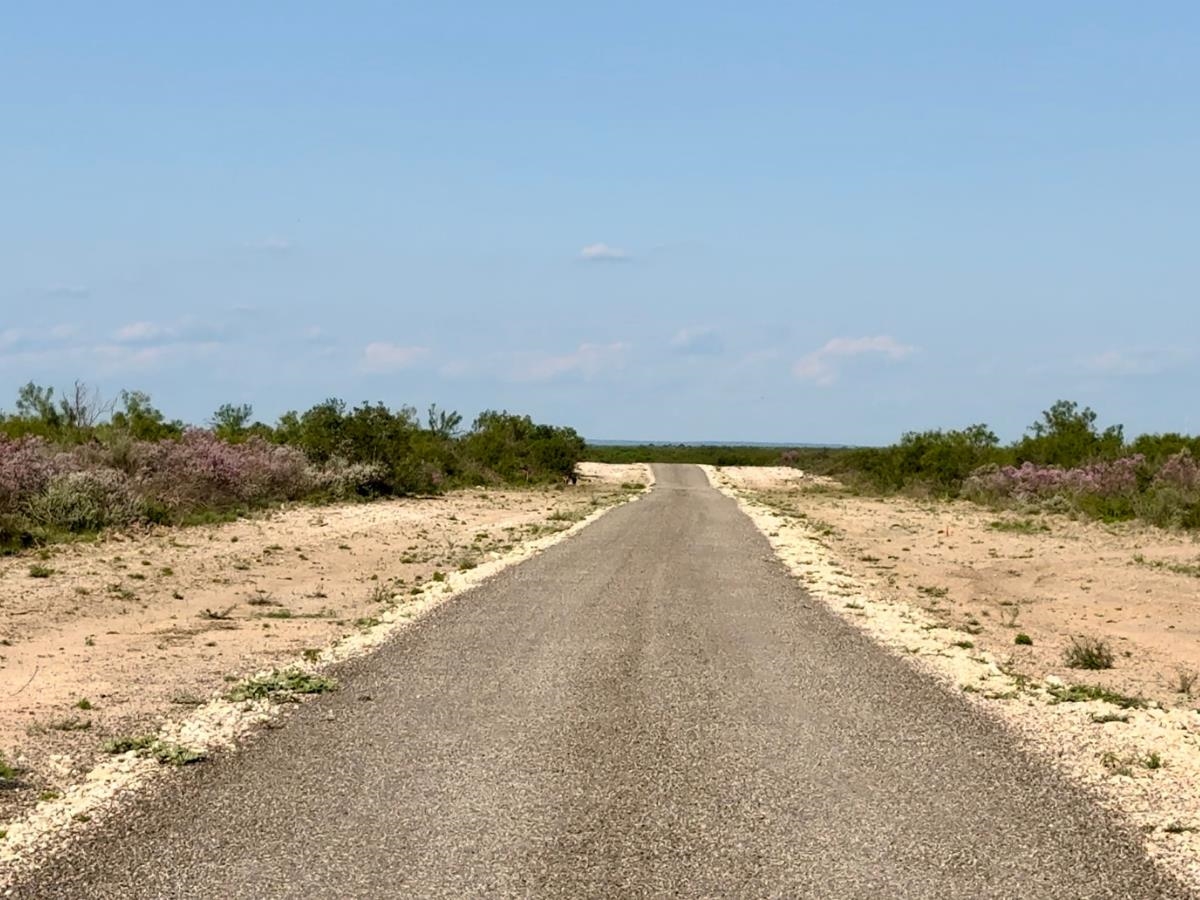 Image 13 of 16 For 31 Ginger Lee Loop