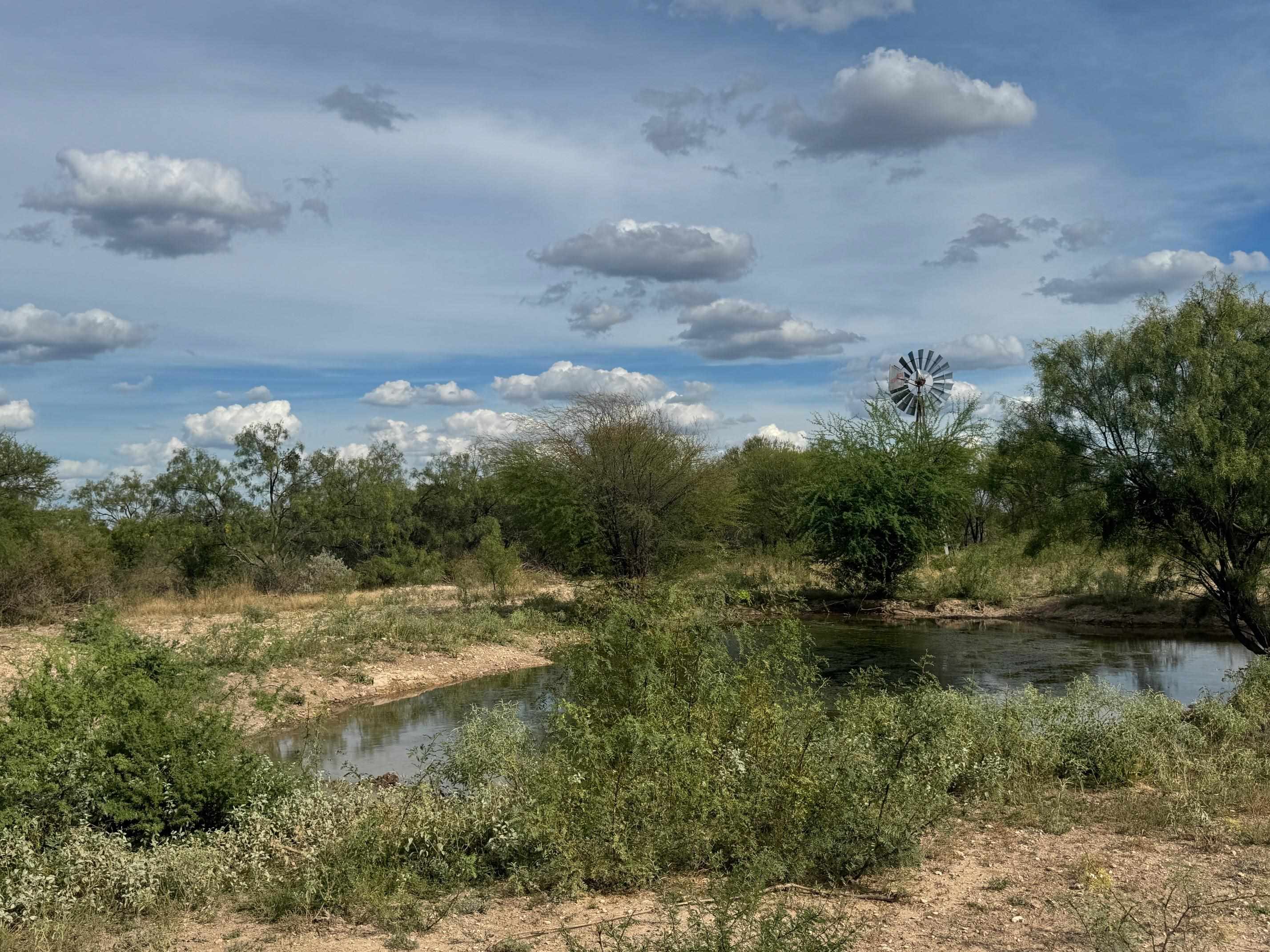 Image 2 of 16 For 31 Ginger Lee Loop