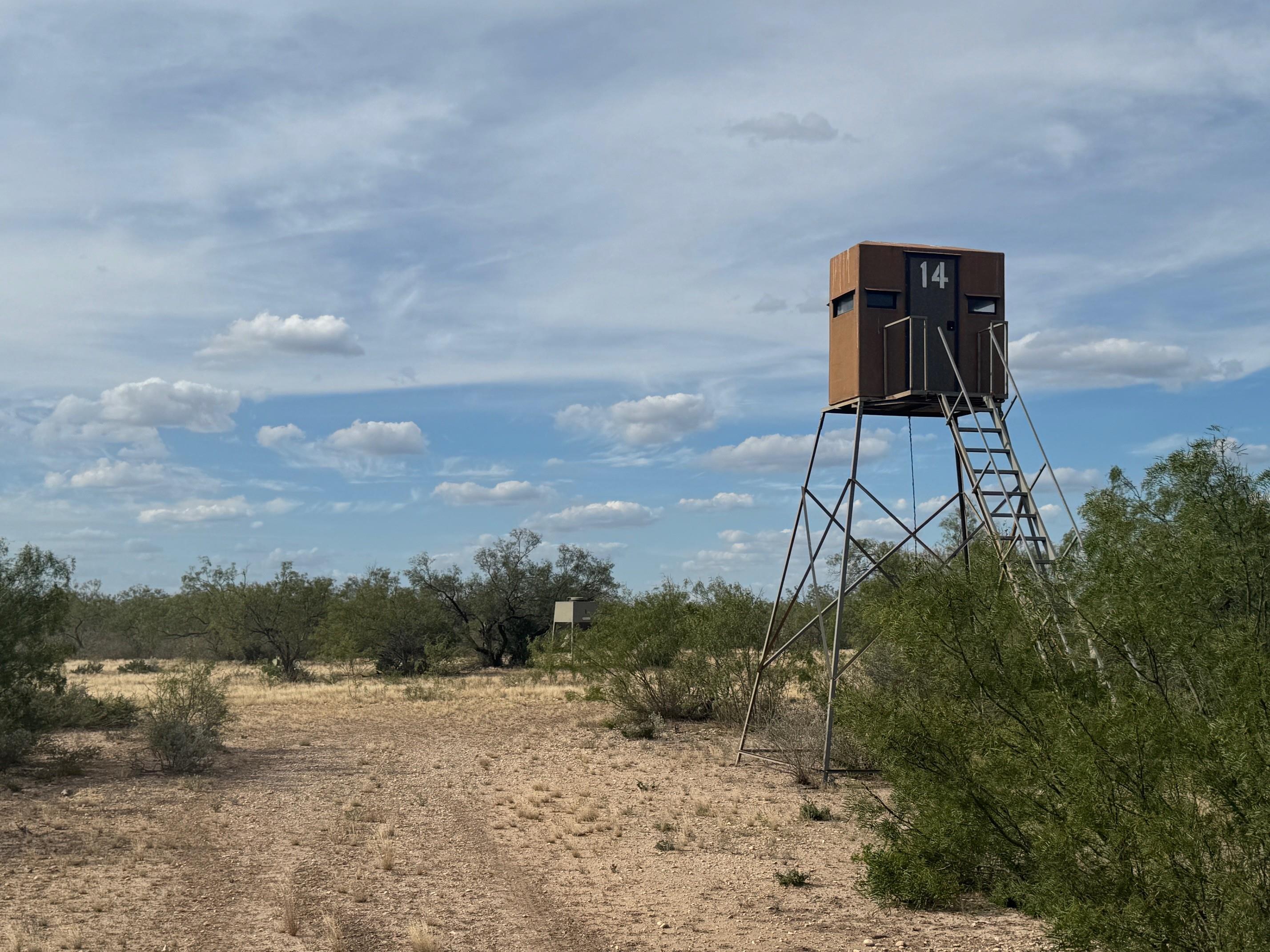 Image 4 of 16 For 31 Ginger Lee Loop