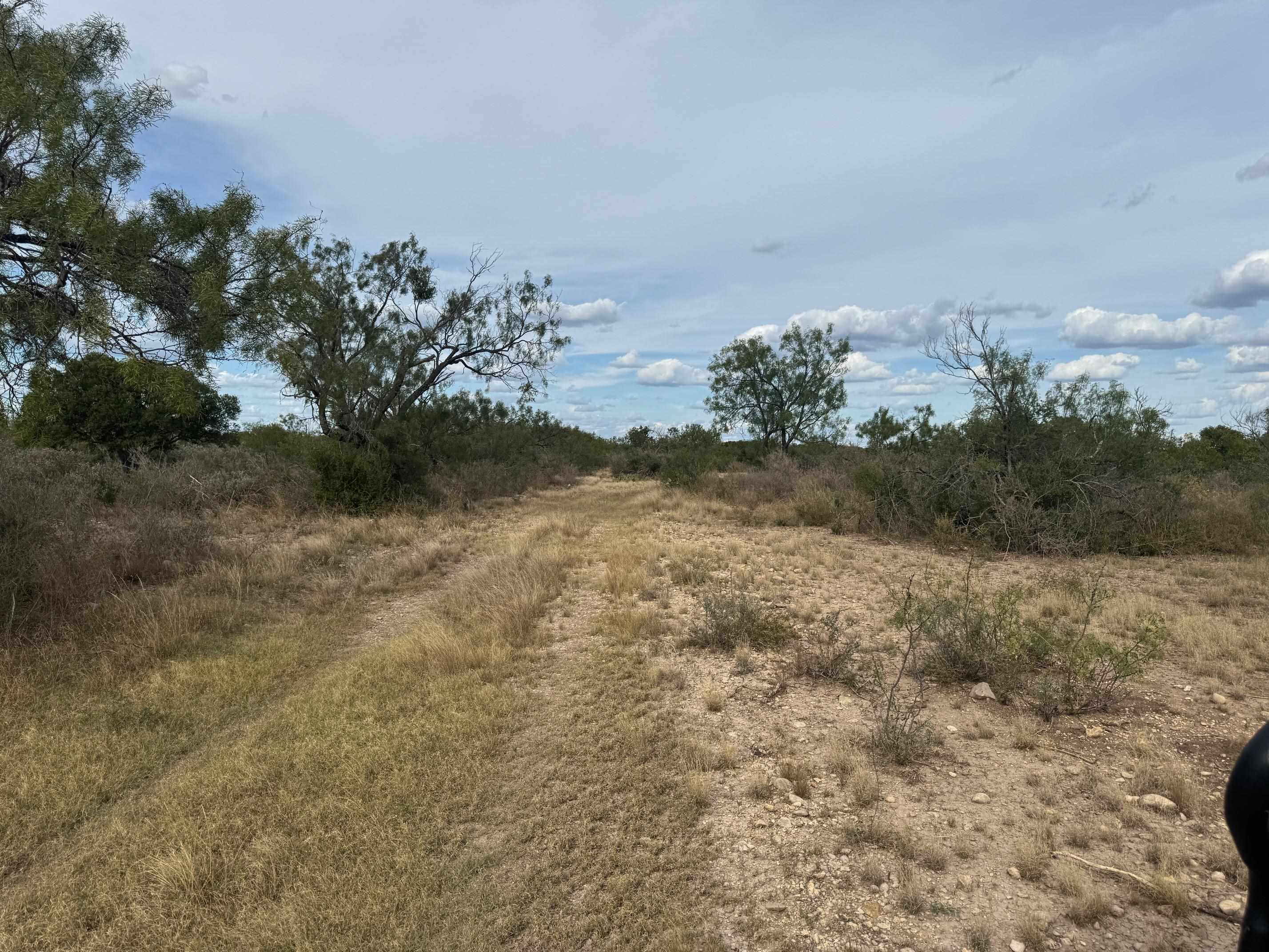 Image 5 of 16 For 31 Ginger Lee Loop