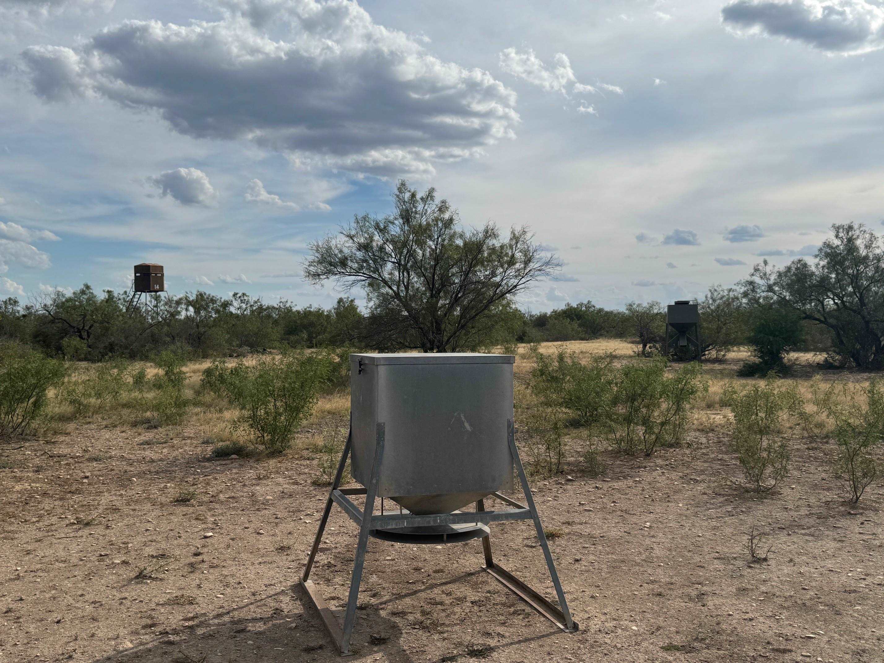 Image 6 of 16 For 31 Ginger Lee Loop