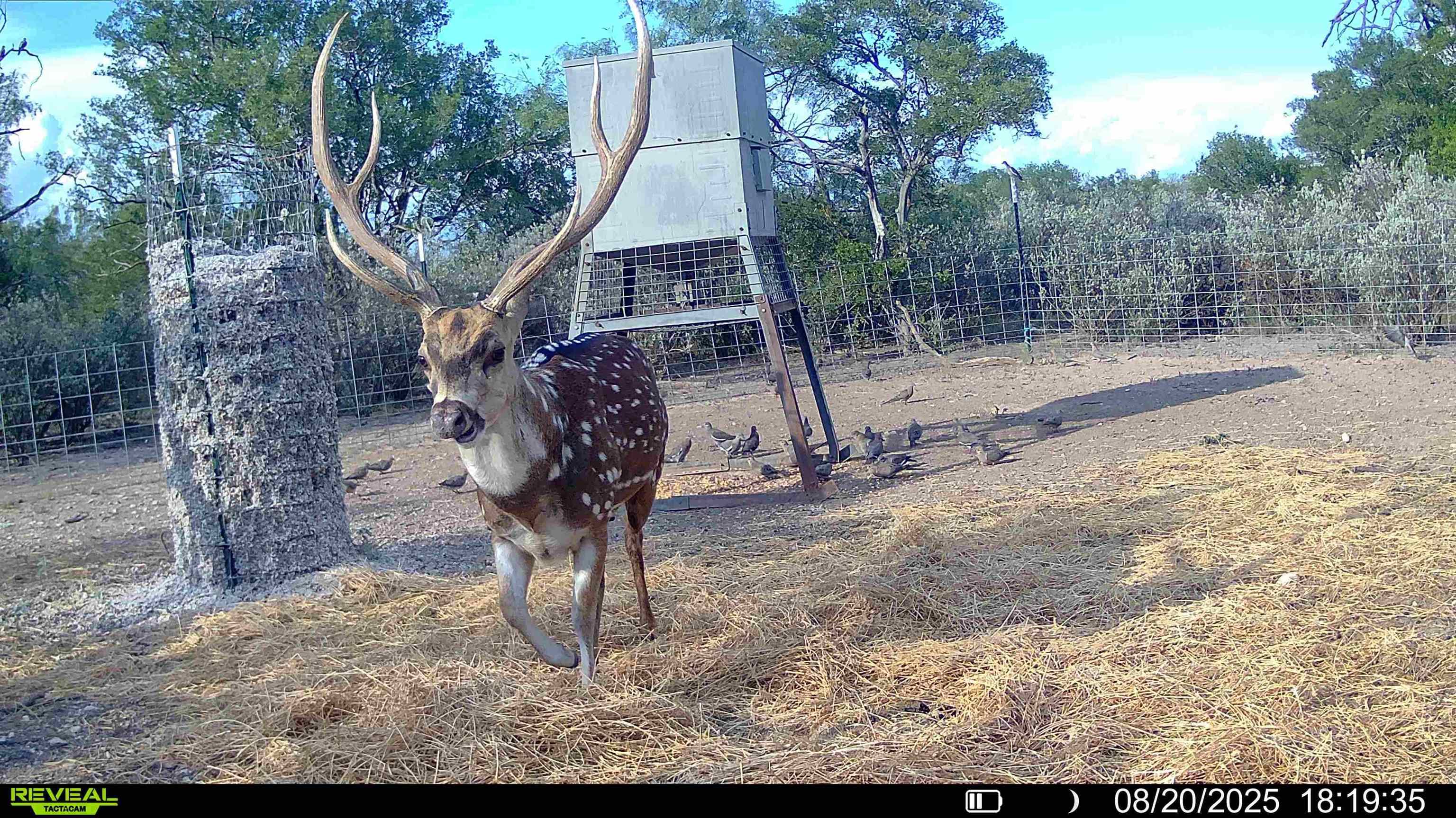 Details for 32 Ginger Lee Loop, Del Rio, TX 78840