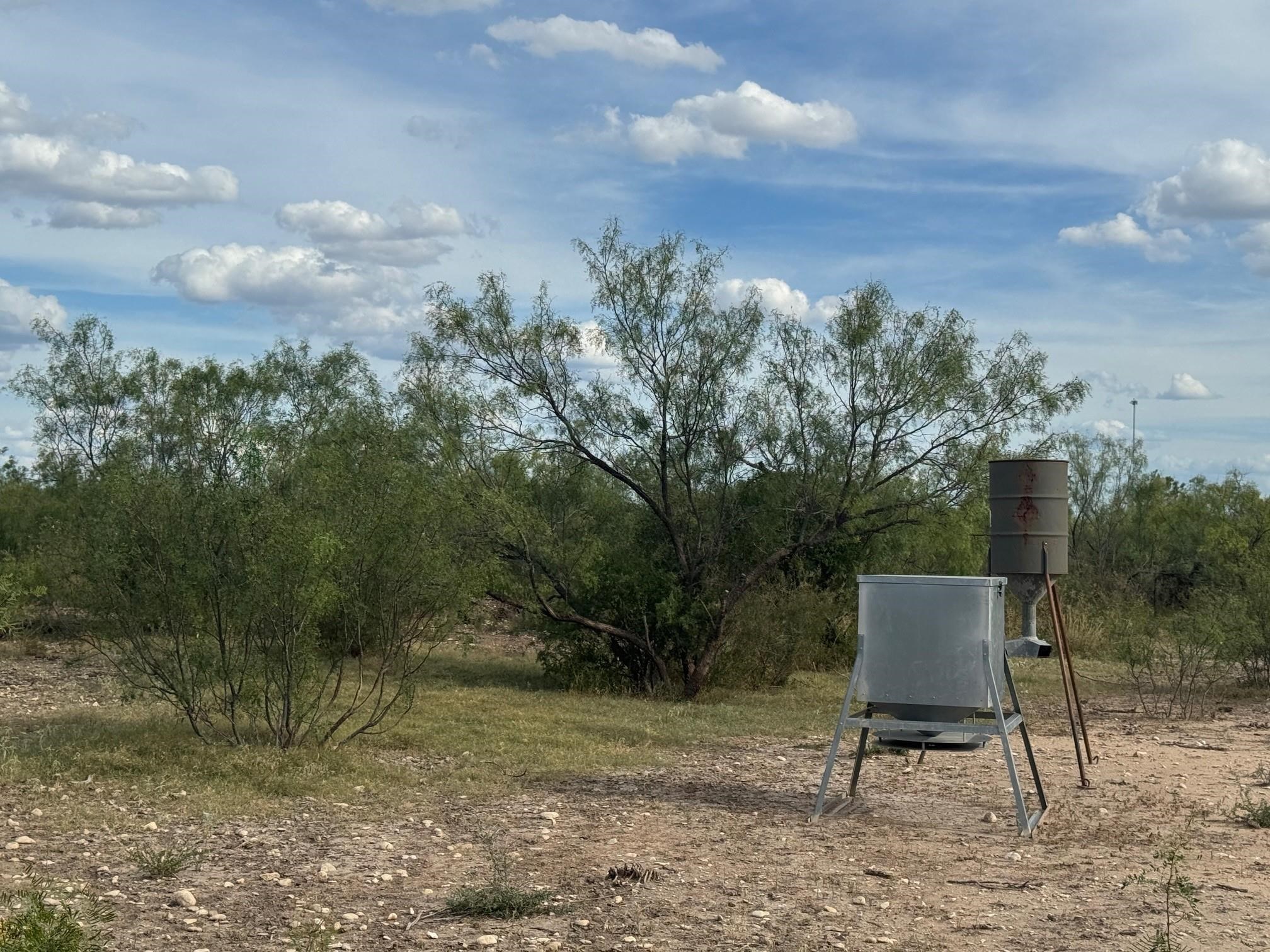 Image 2 of 13 For 32 Ginger Lee Loop