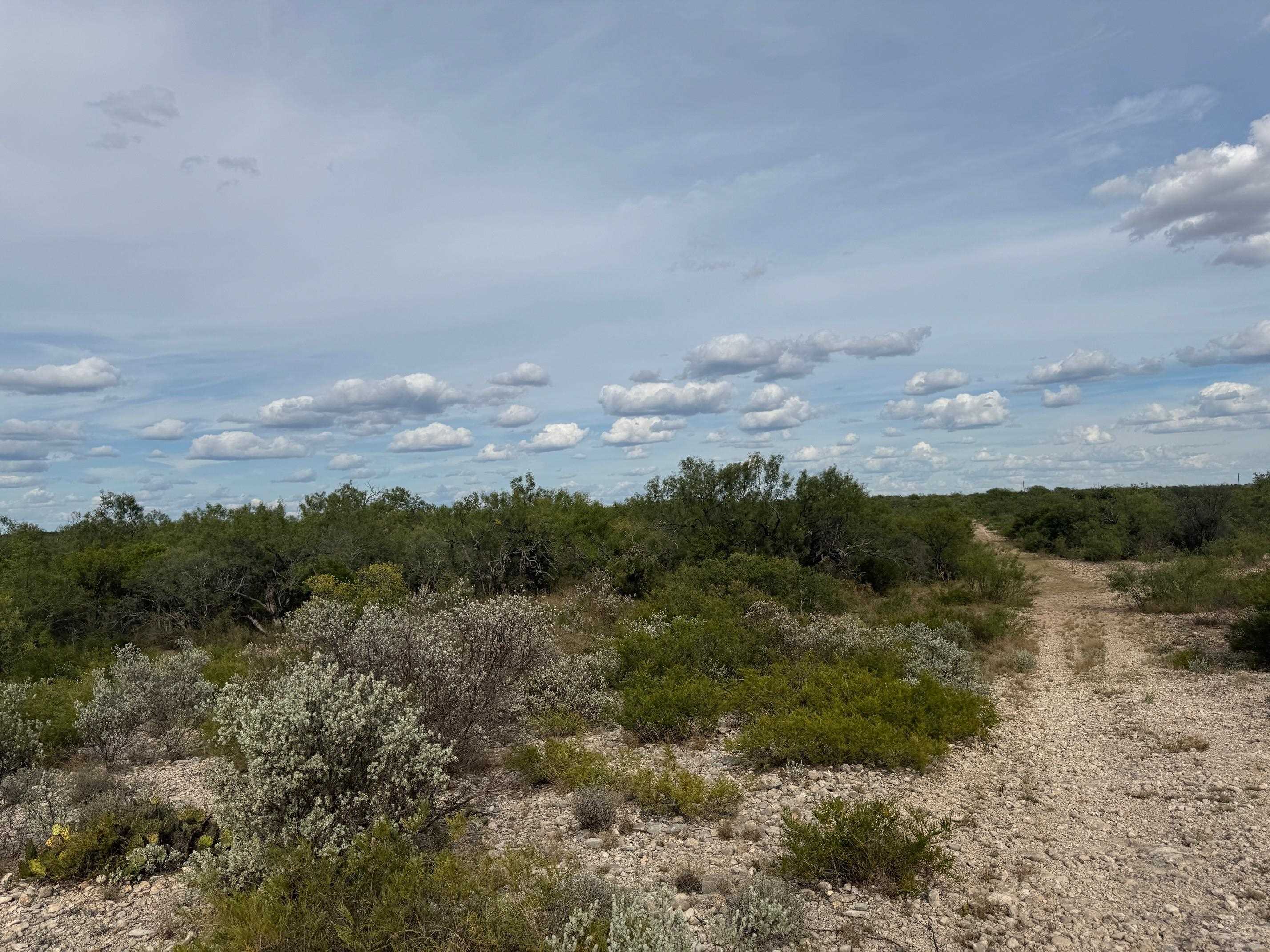 Image 3 of 13 For 32 Ginger Lee Loop