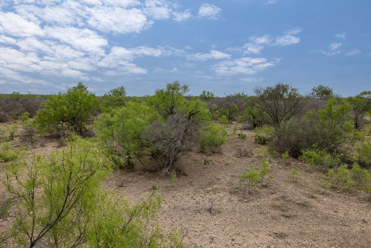 Image 4 of 13 For 32 Ginger Lee Loop