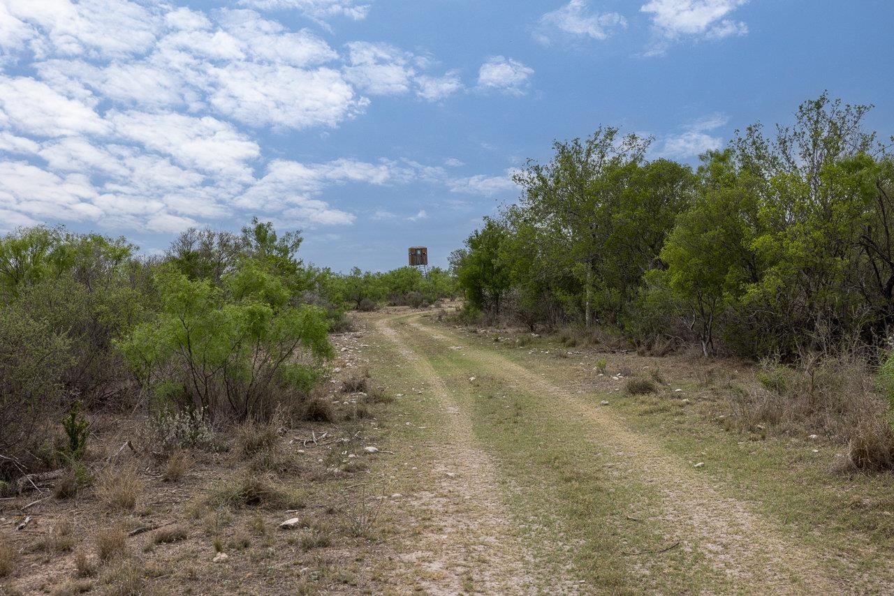 Image 5 of 13 For 32 Ginger Lee Loop