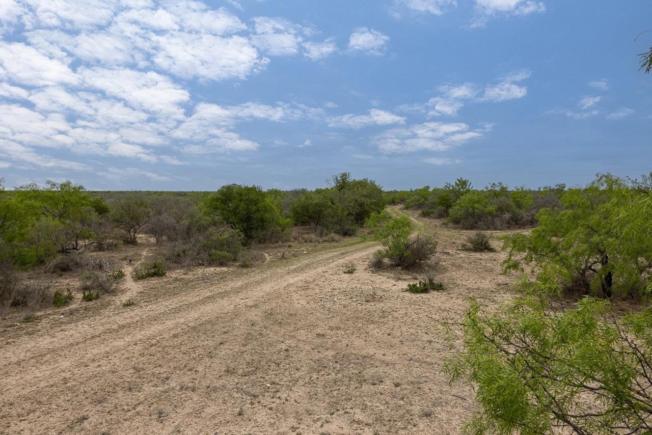 Image 6 of 13 For 32 Ginger Lee Loop