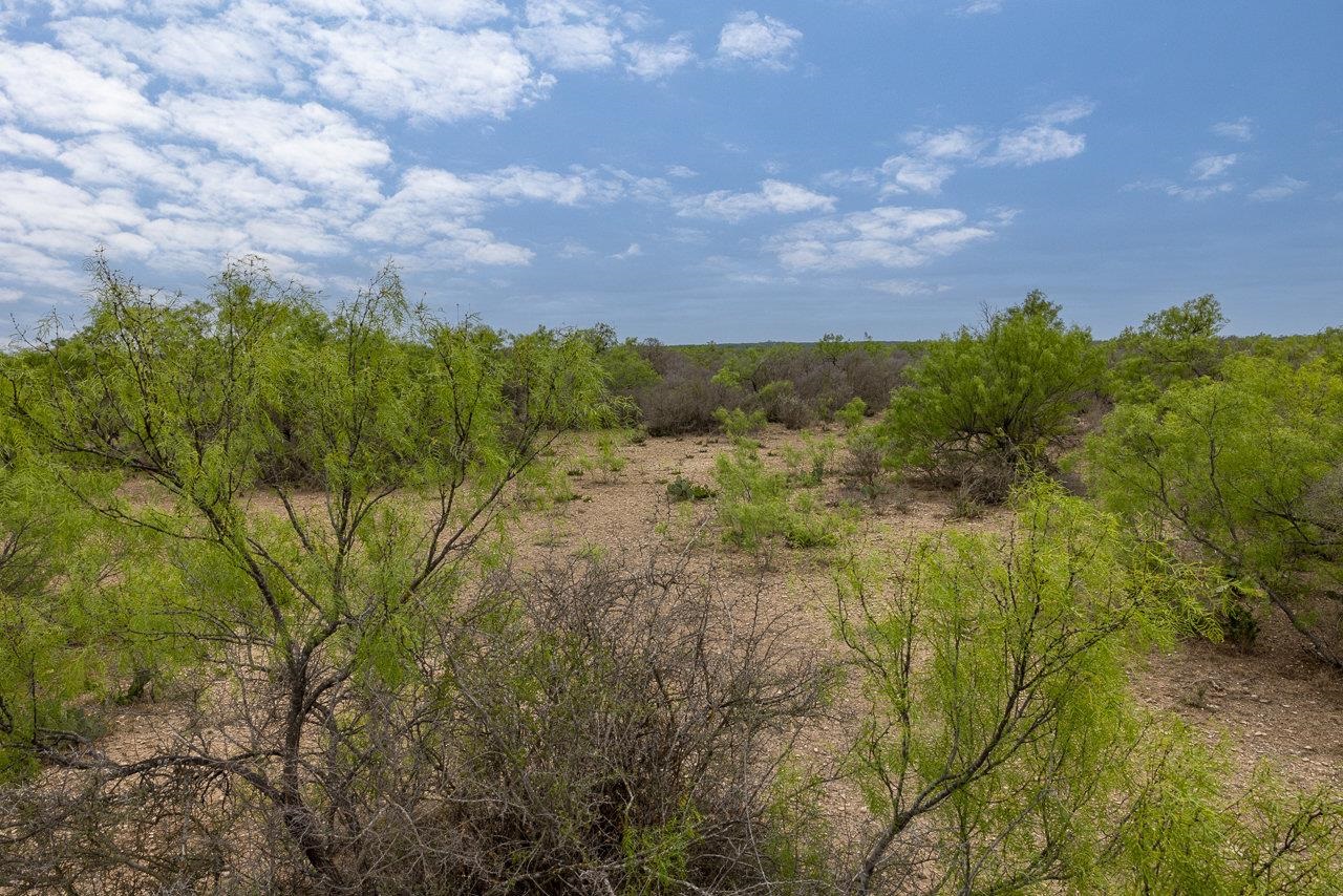 Image 7 of 13 For 32 Ginger Lee Loop