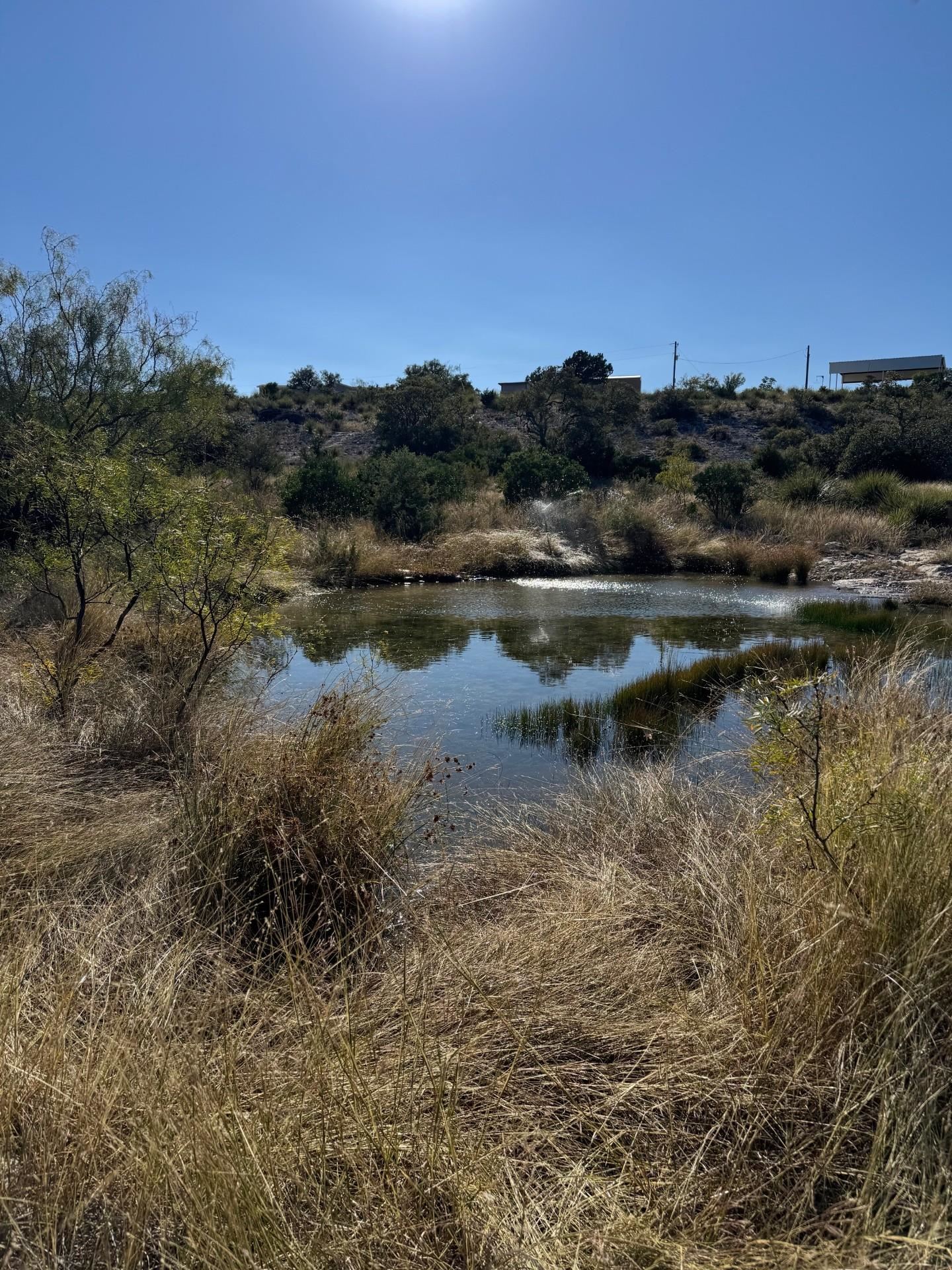 Image 21 of 38 For 1284 Cholla