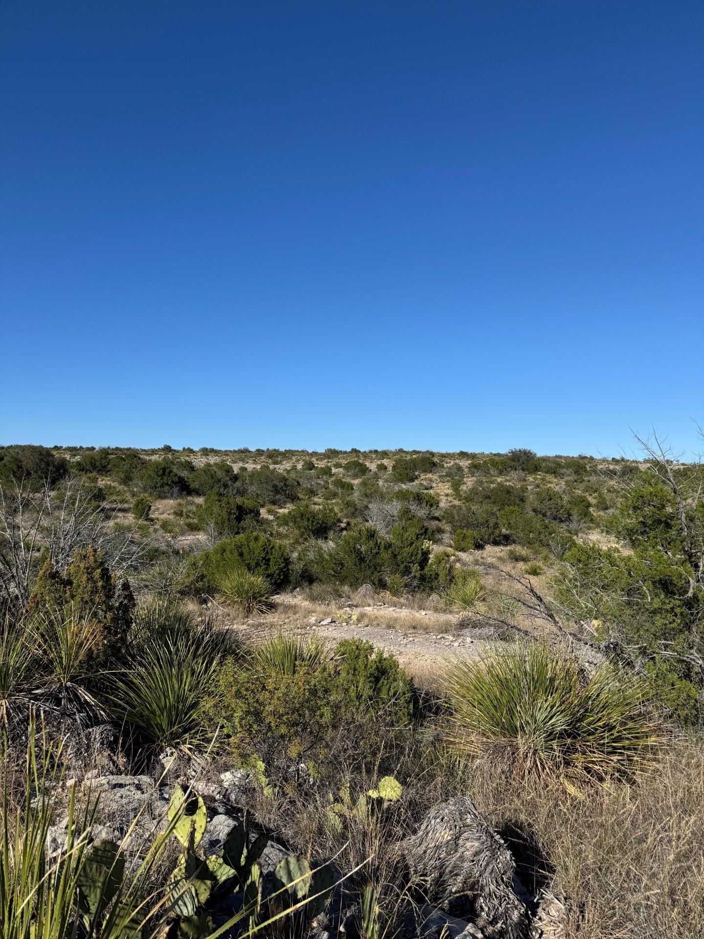 Image 22 of 38 For 1284 Cholla