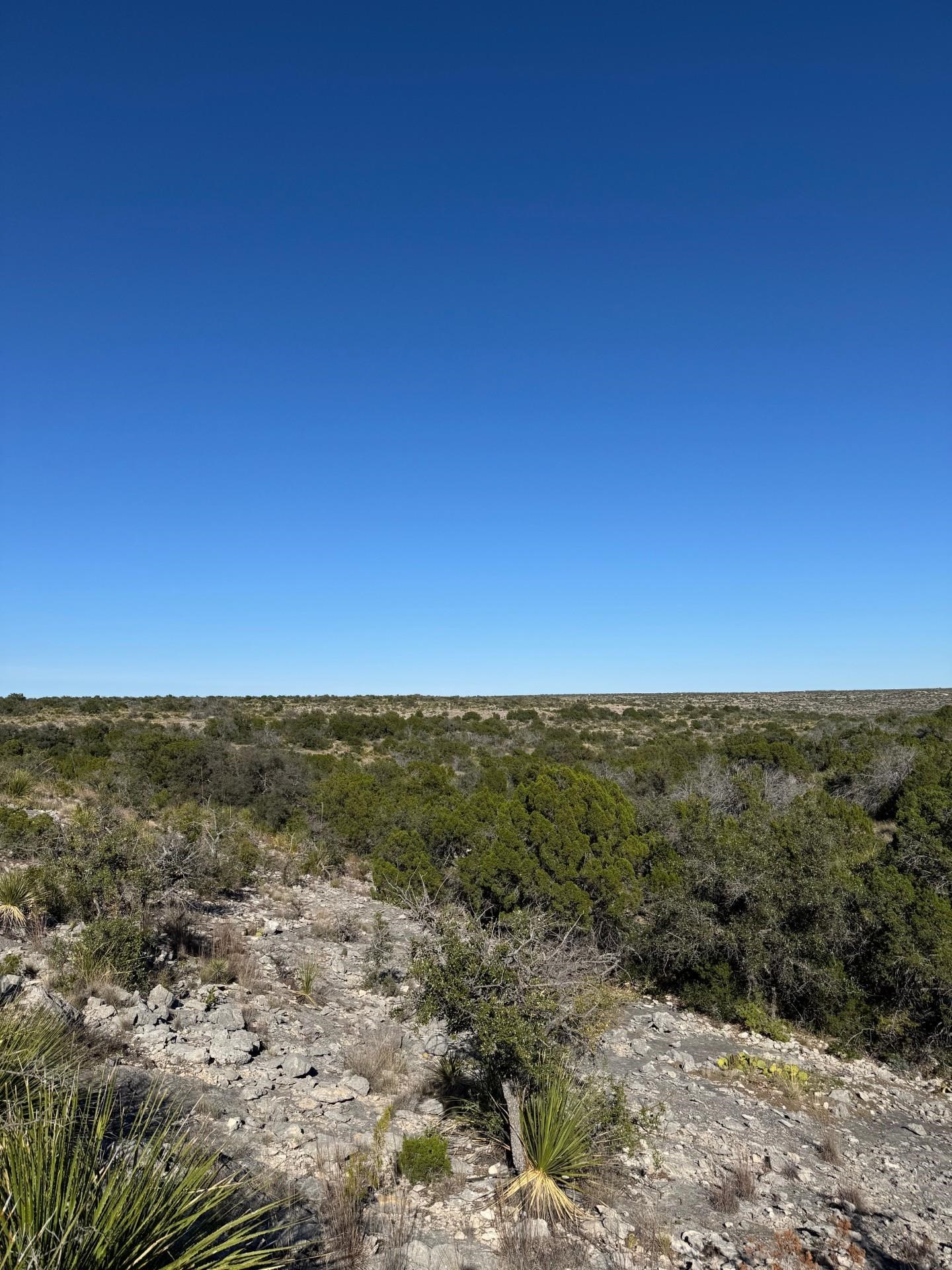 Image 24 of 38 For 1284 Cholla