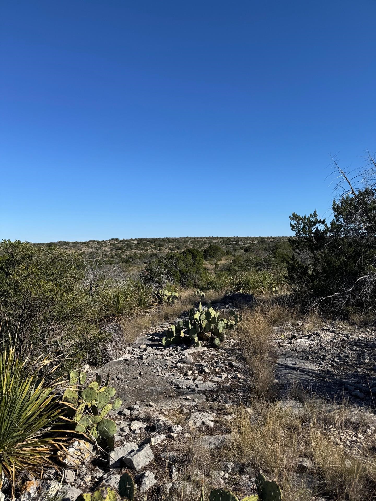 Image 25 of 38 For 1284 Cholla