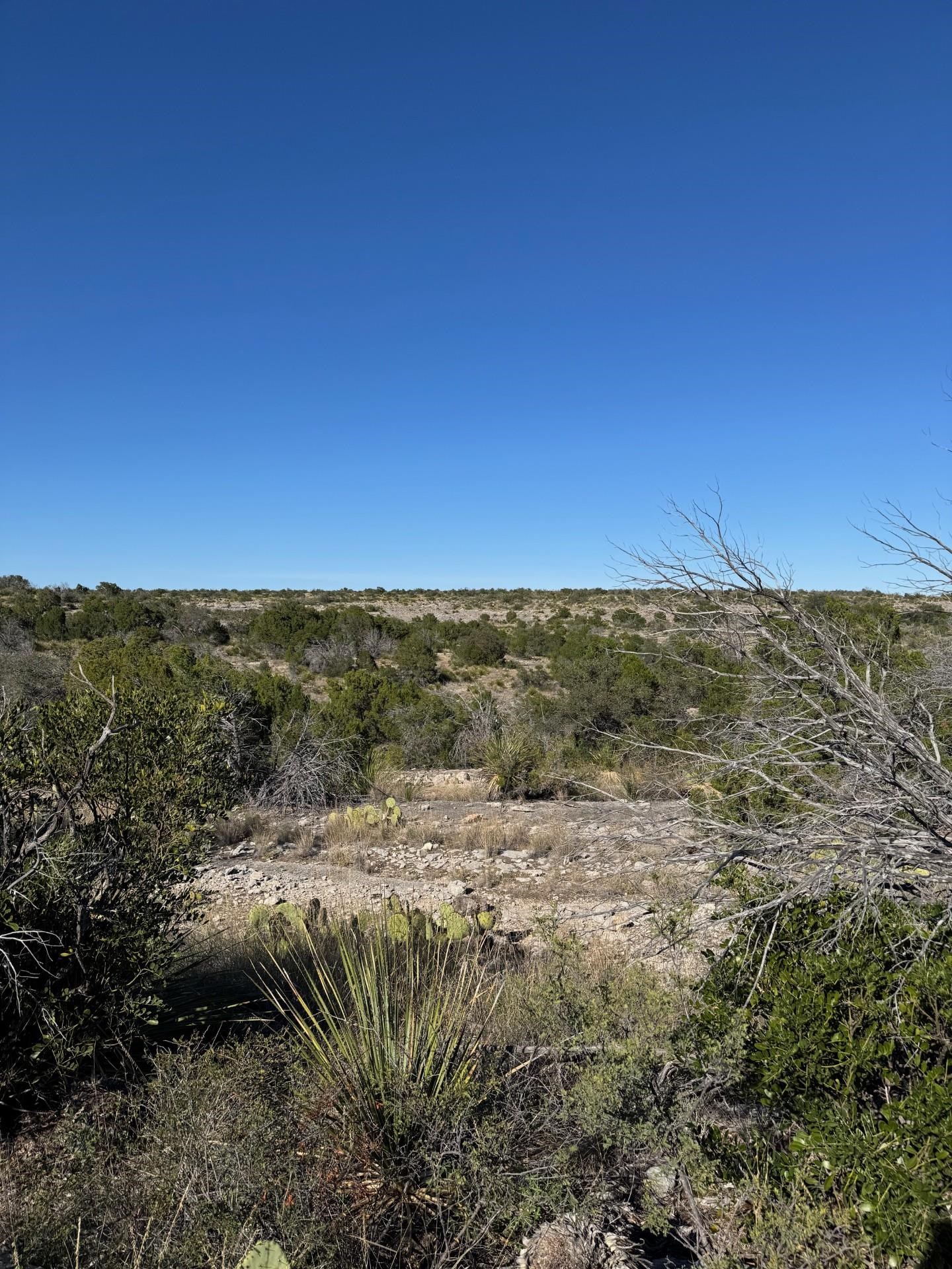 Image 26 of 38 For 1284 Cholla