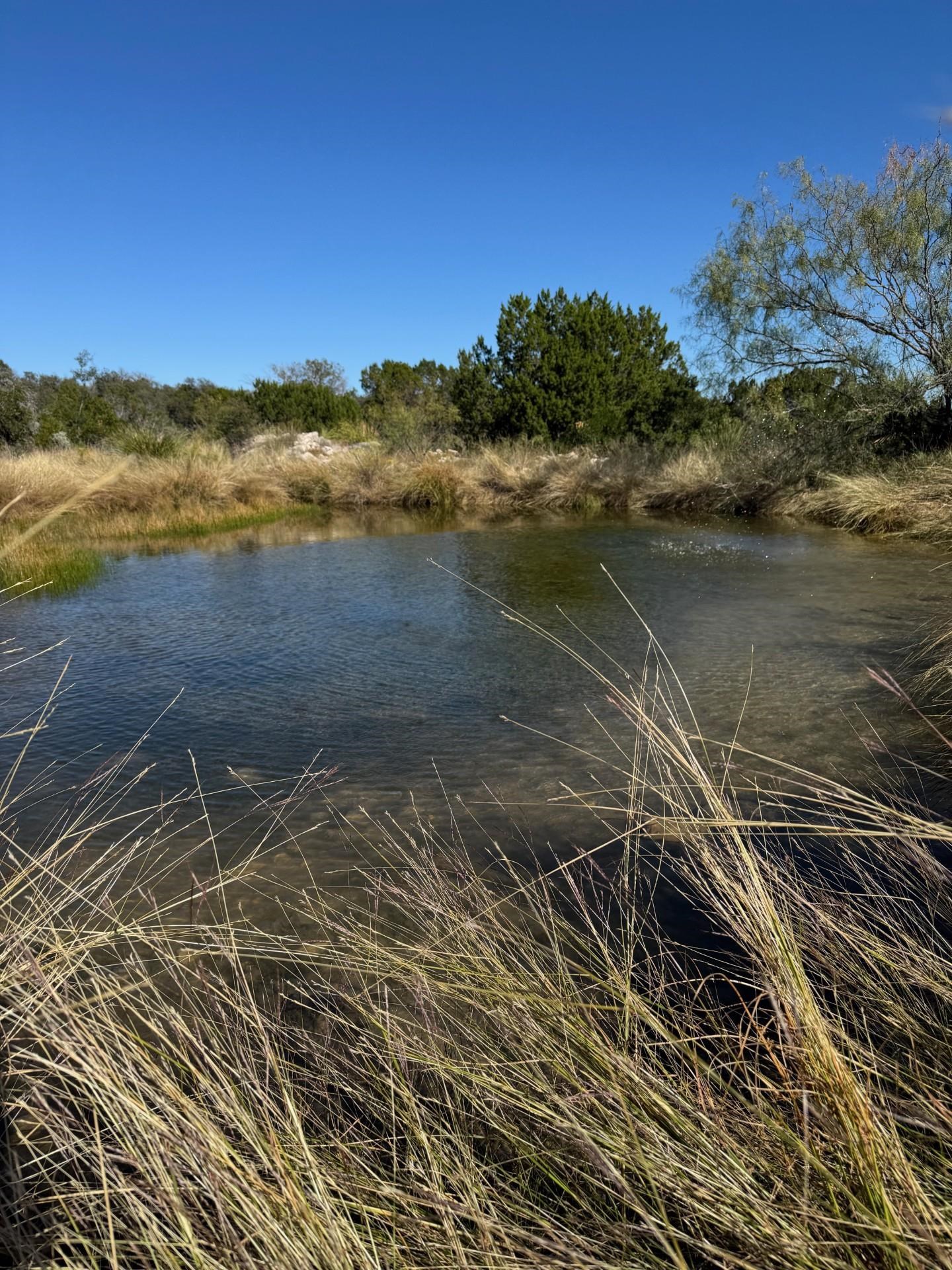 Image 28 of 38 For 1284 Cholla