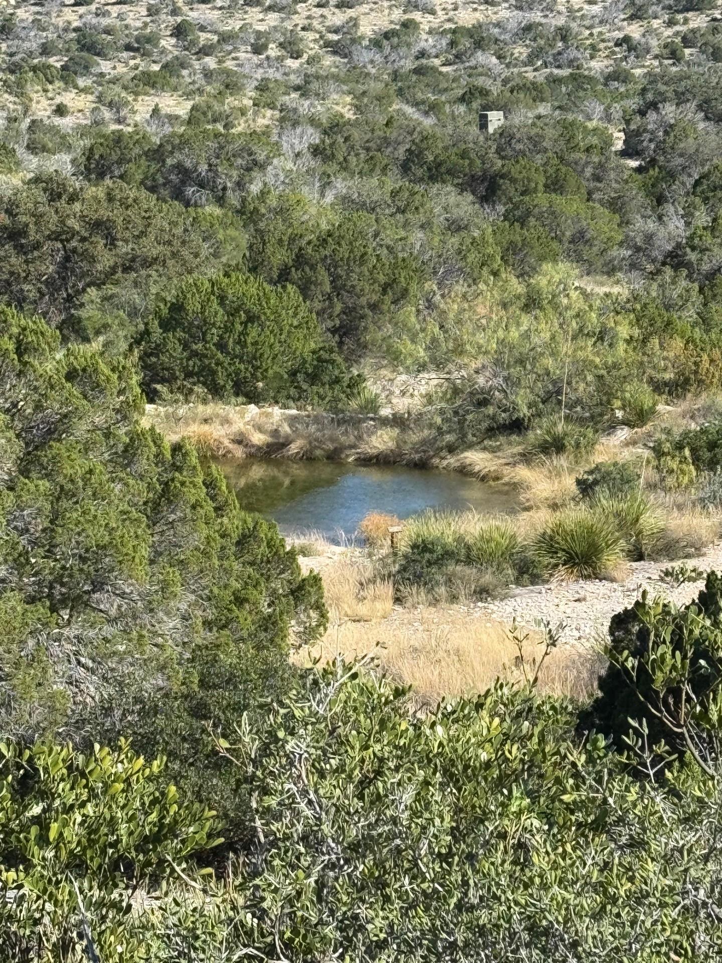 Image 33 of 38 For 1284 Cholla
