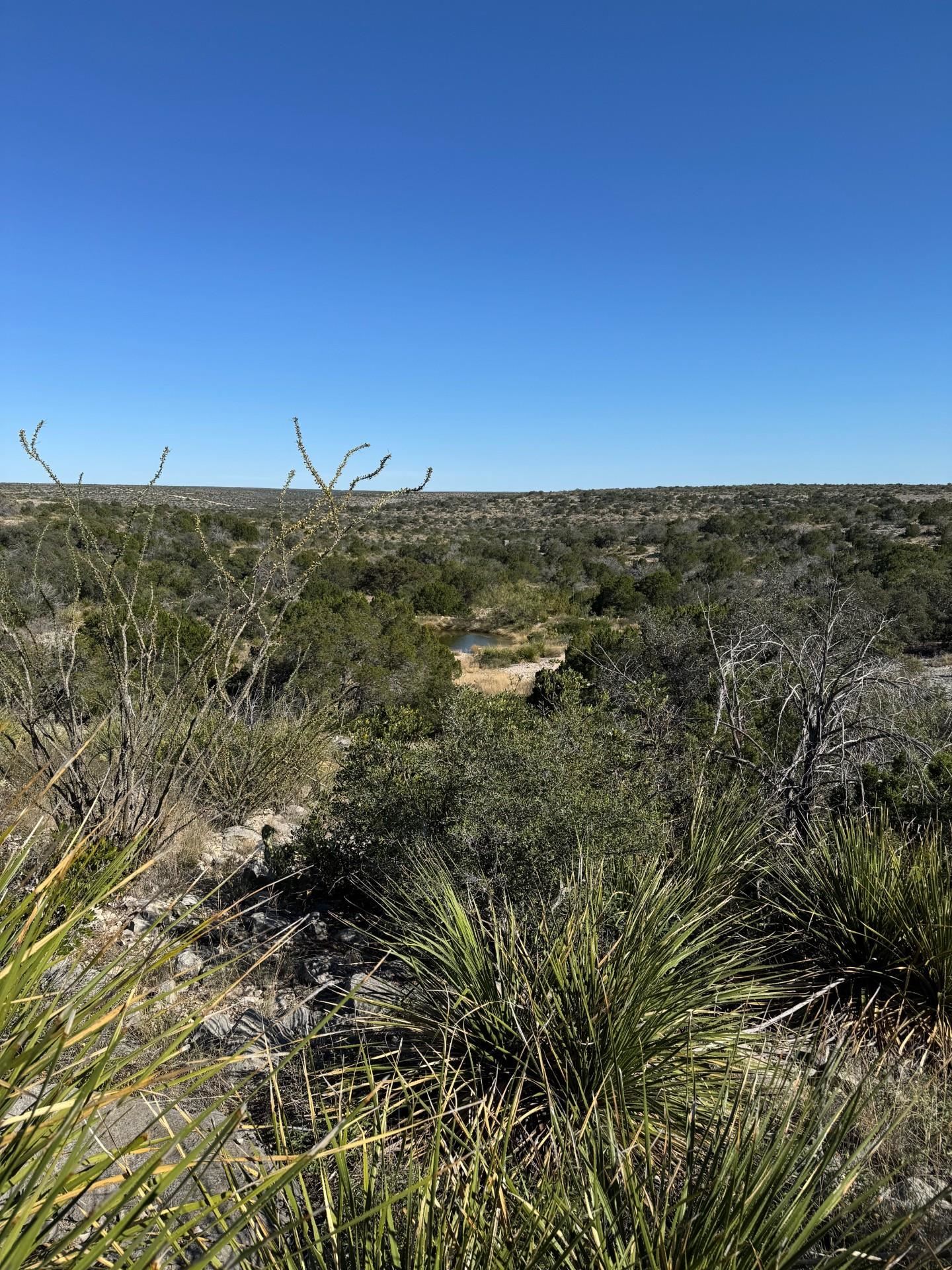 Image 34 of 38 For 1284 Cholla
