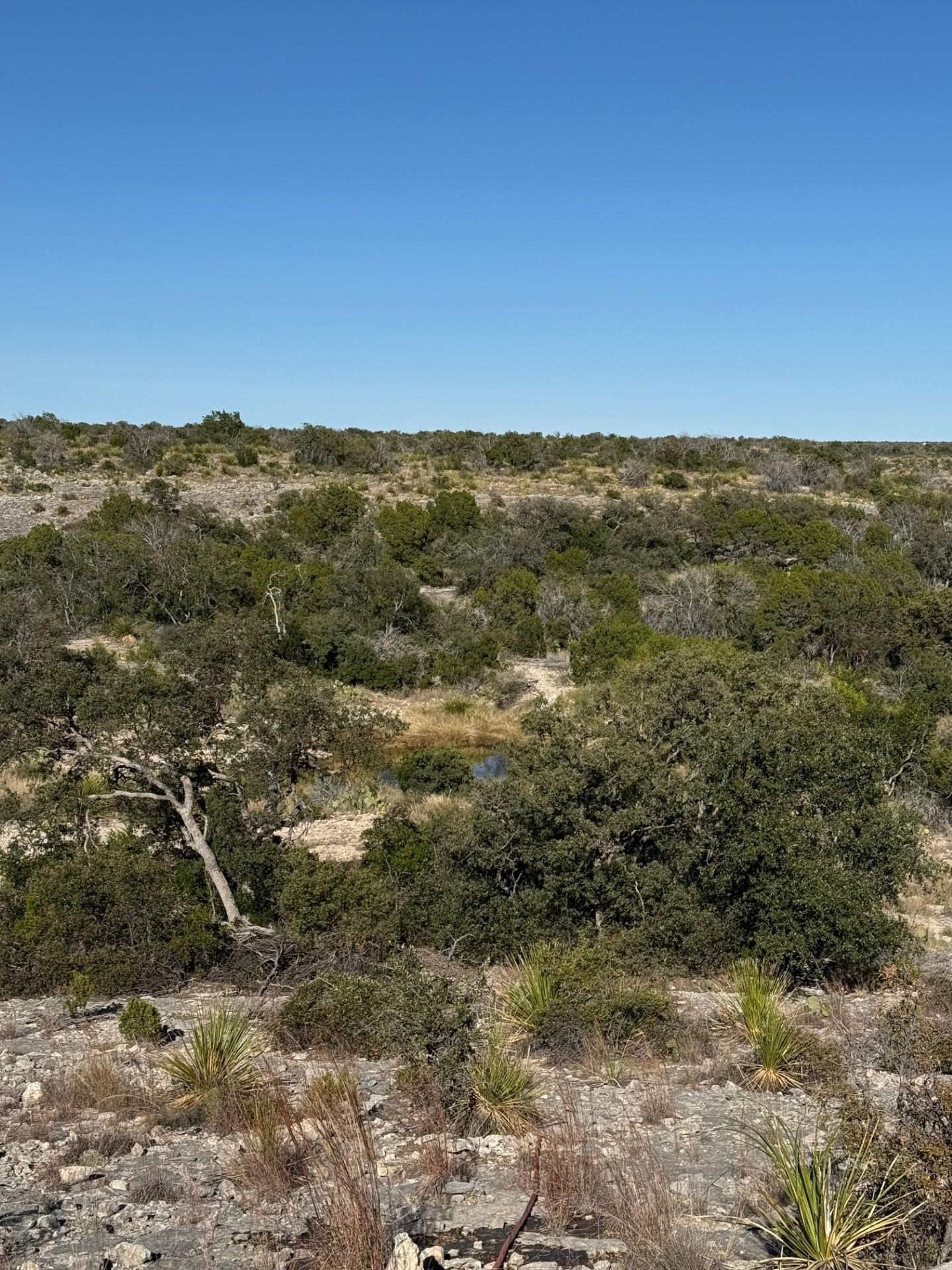 Image 35 of 38 For 1284 Cholla