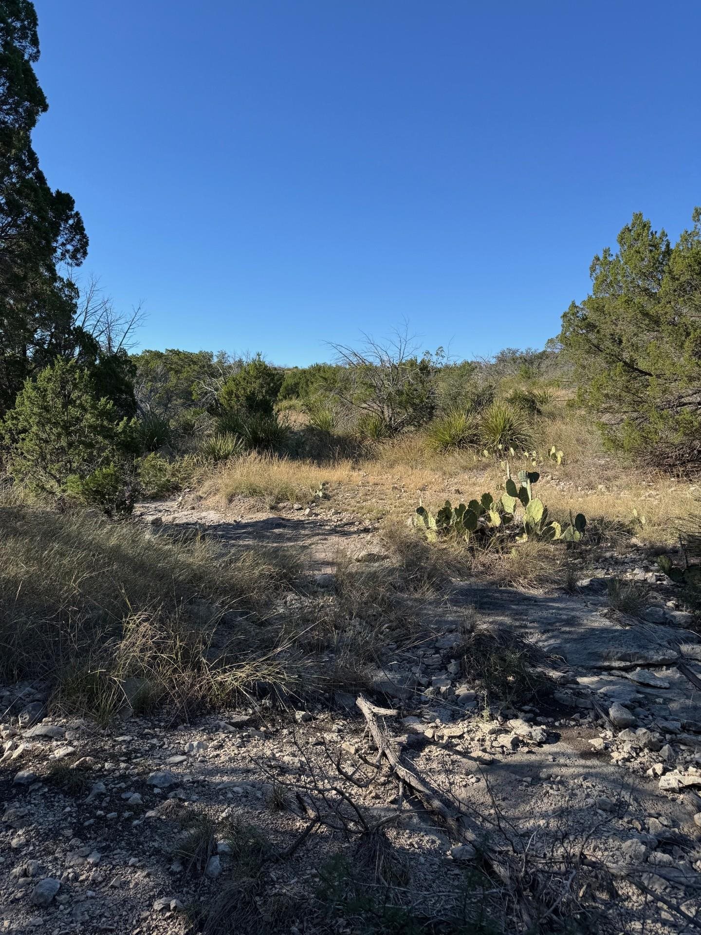Image 36 of 38 For 1284 Cholla