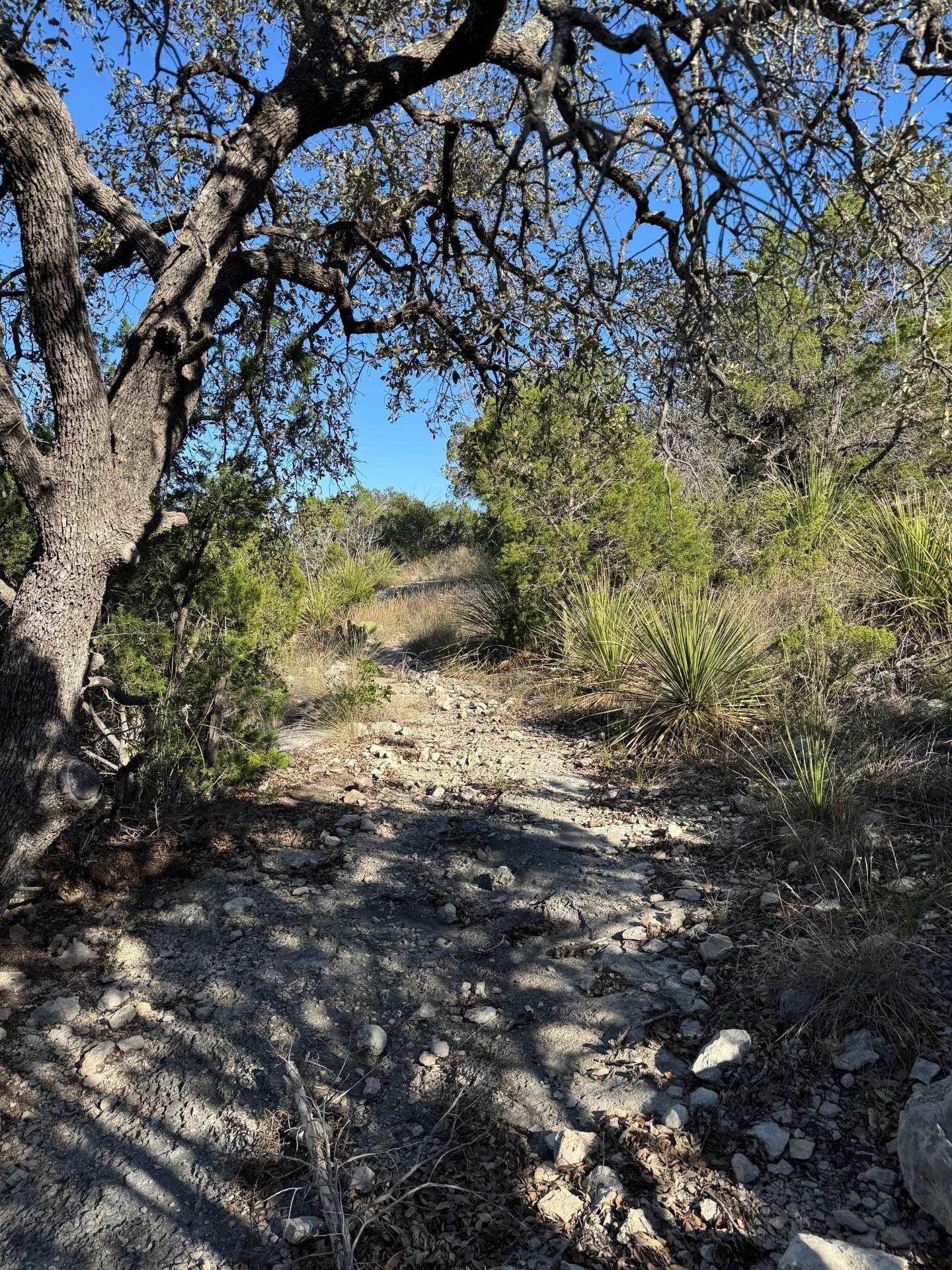 Image 37 of 38 For 1284 Cholla