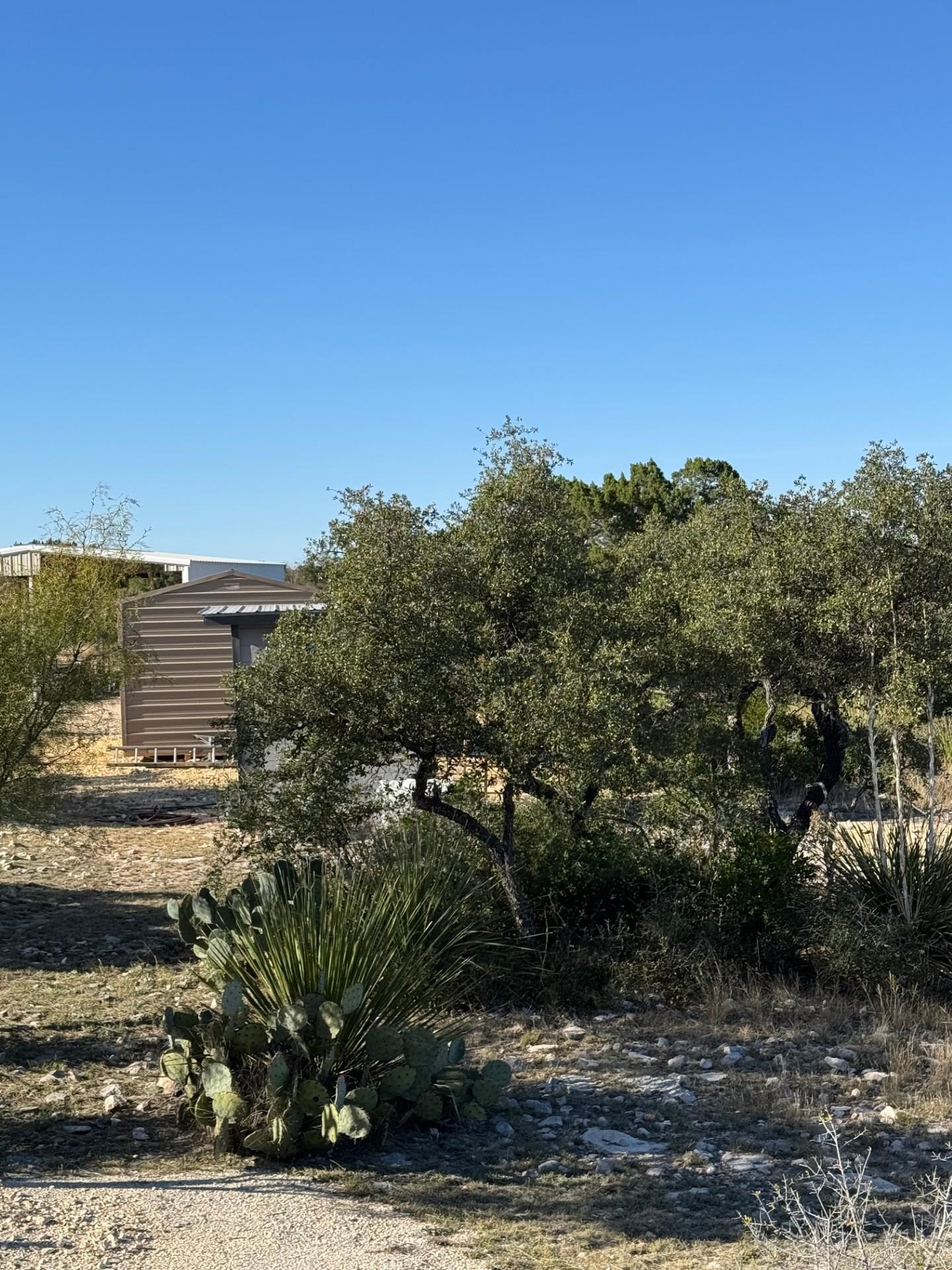 Image 6 of 38 For 1284 Cholla