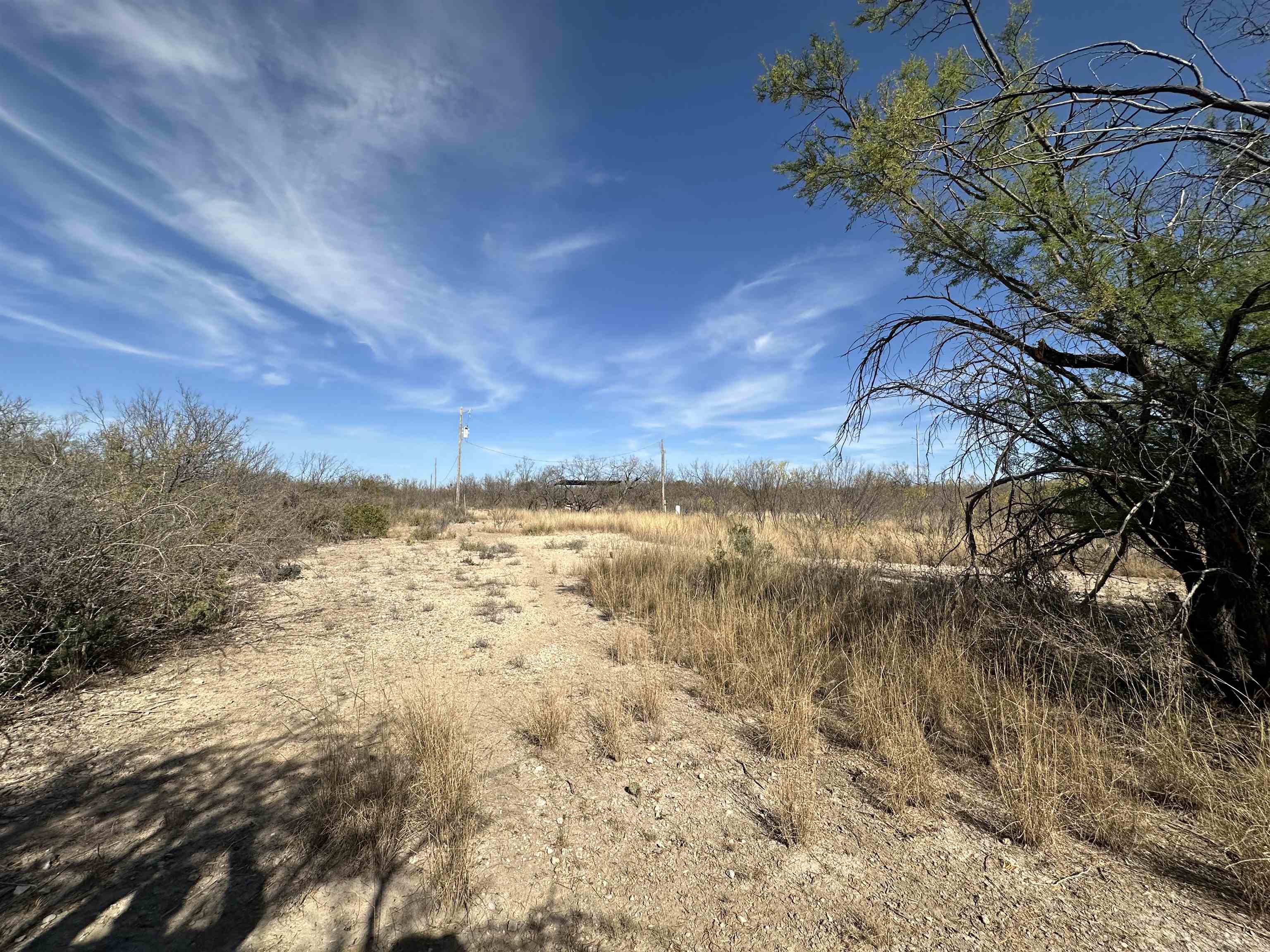 Image 16 of 25 For 529 Harness  